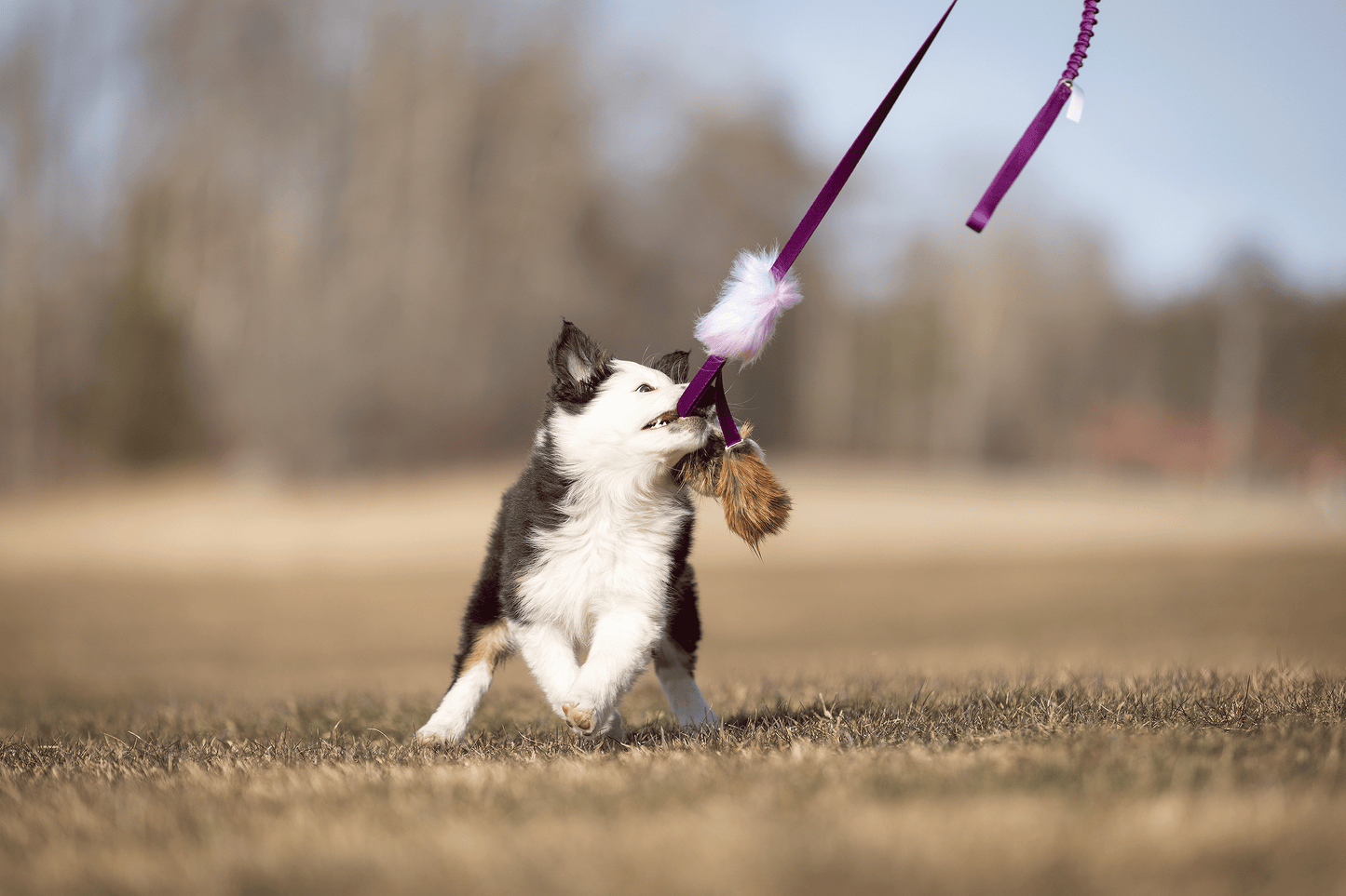 Elastisk blackfiskjager med bever/rev/kanin str S