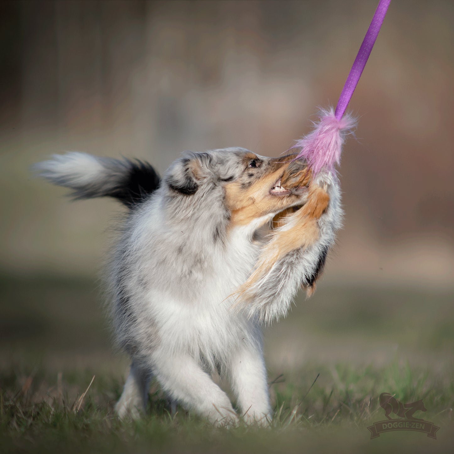 Elastisk blackfiskjager med rev