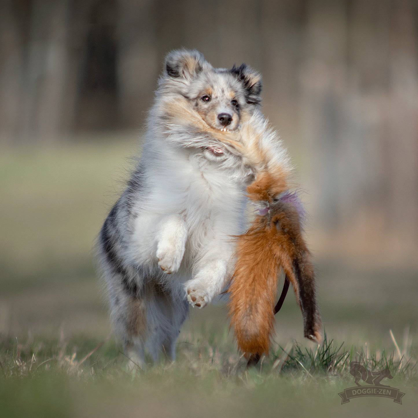 Elastisk blackfiskjager med rev