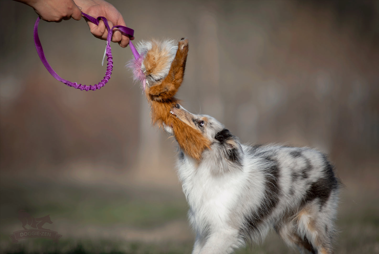 Elastisk blackfiskjager med rev