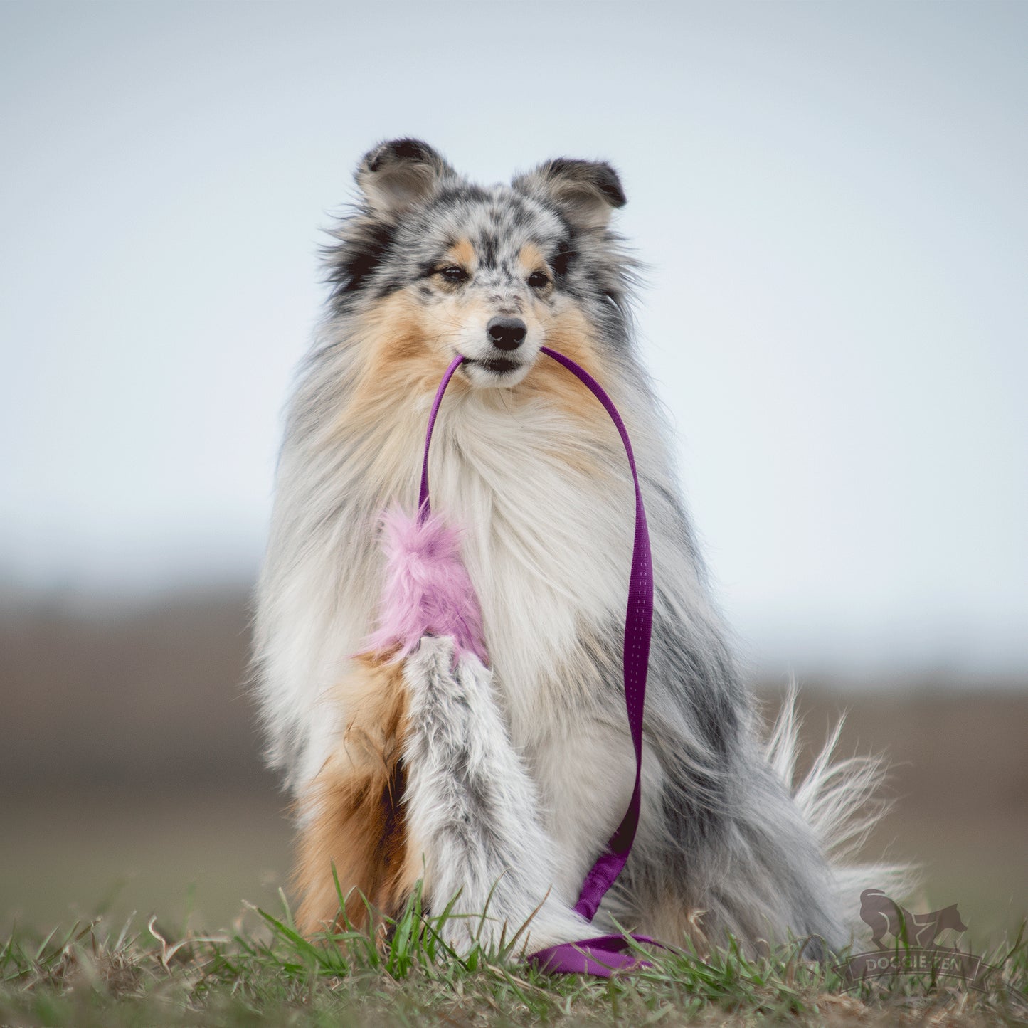 Elastisk blackfiskjager med rev