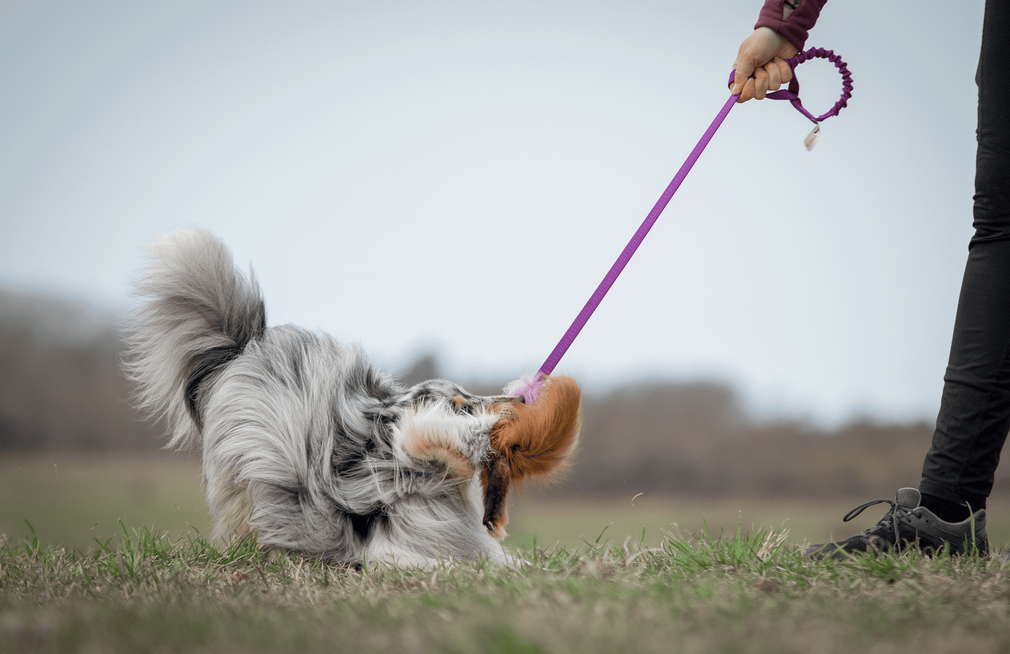 Elastisk blackfiskjager med rev