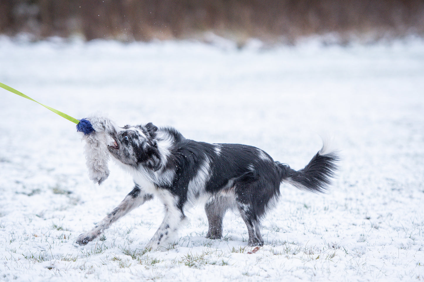 Elastik blackfiskjager med fåreskinn