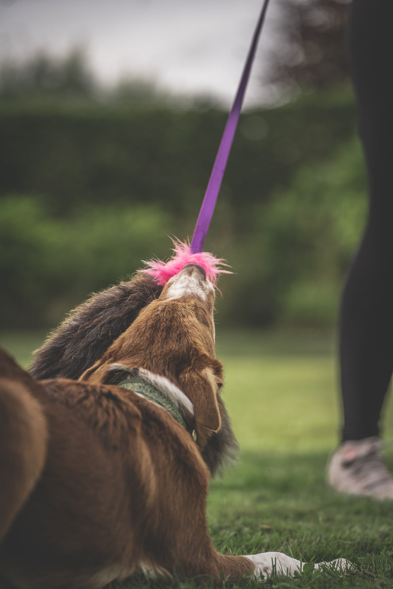 Elastik blackfiskjager med fåreskinn