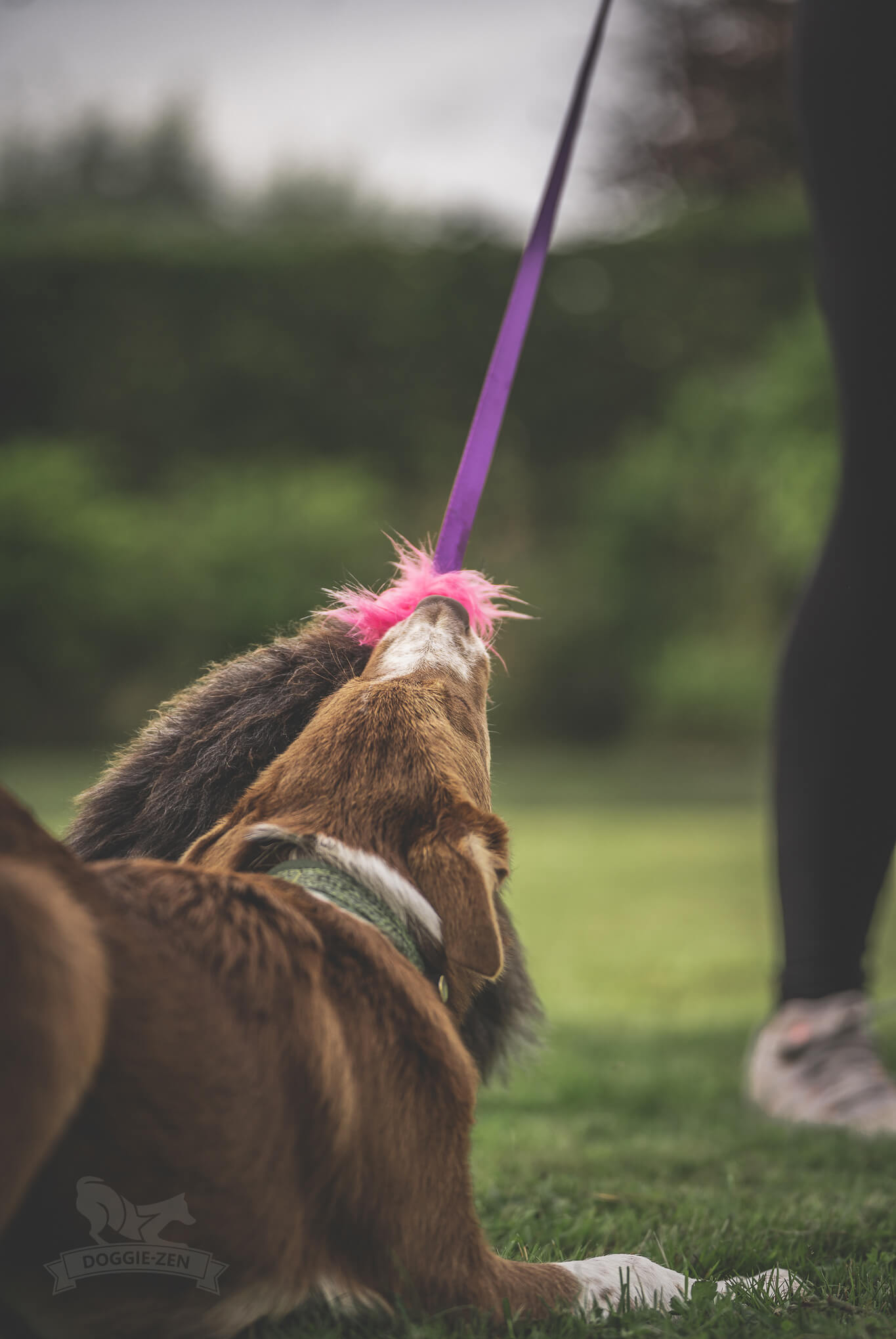 Elastik blackfiskjager med fåreskinn