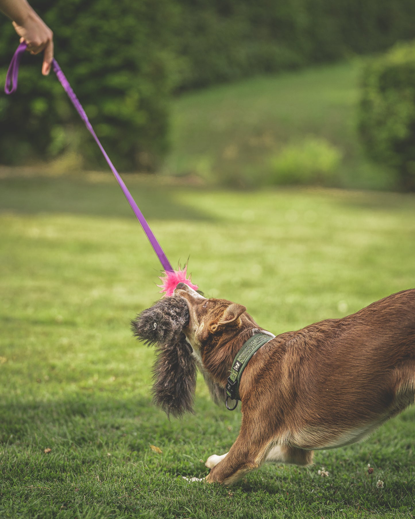 Elastik blackfiskjager med fåreskinn