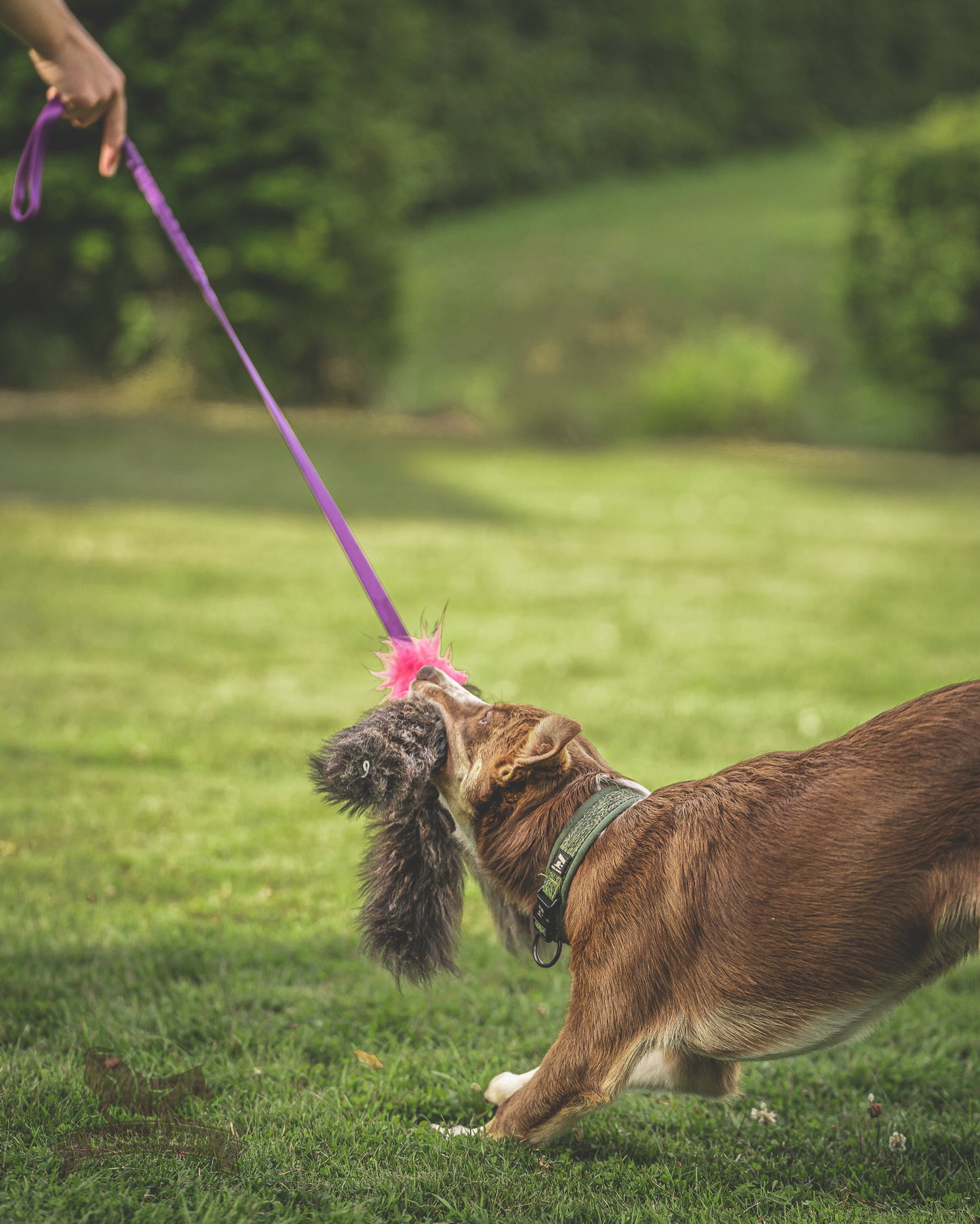 Elastik blackfiskjager med fåreskinn
