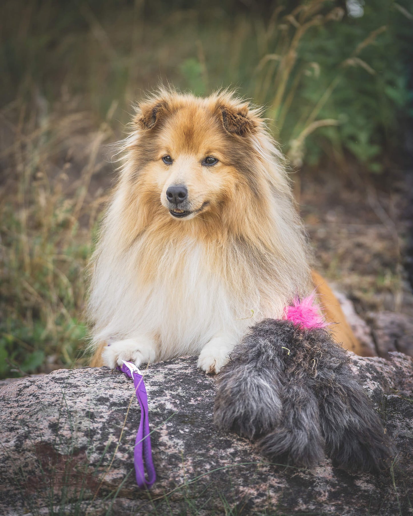 Elastik blackfiskjager med fåreskinn
