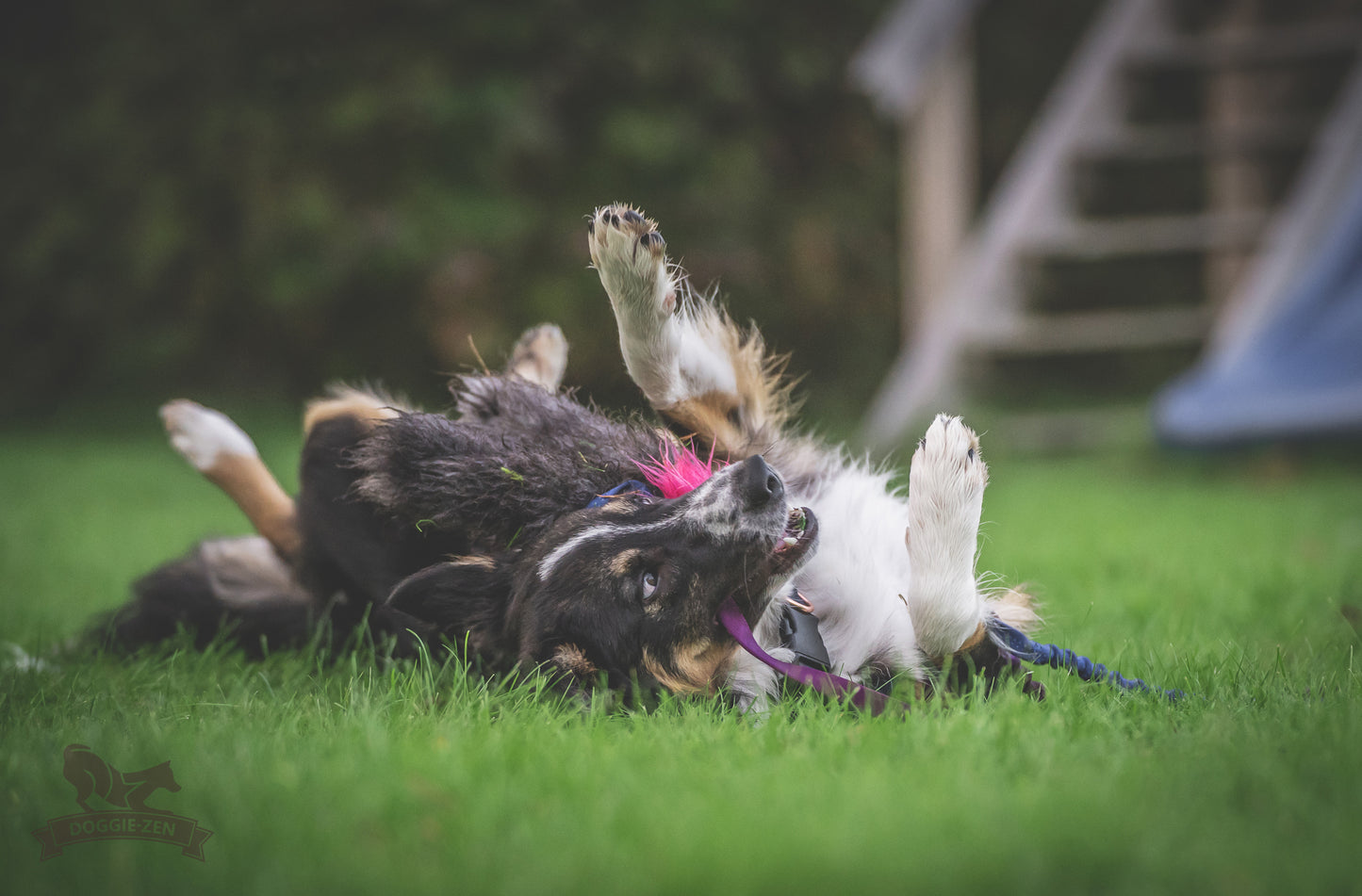 Elastik blackfiskjager med fåreskinn