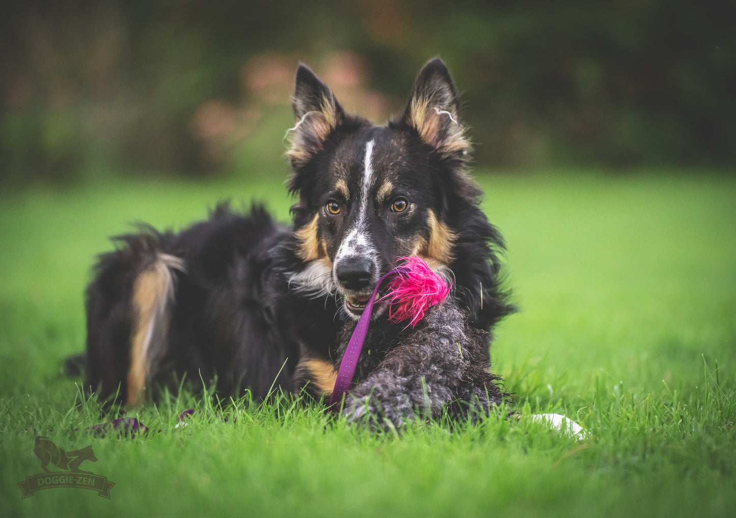 Elastik blackfiskjager med fåreskinn