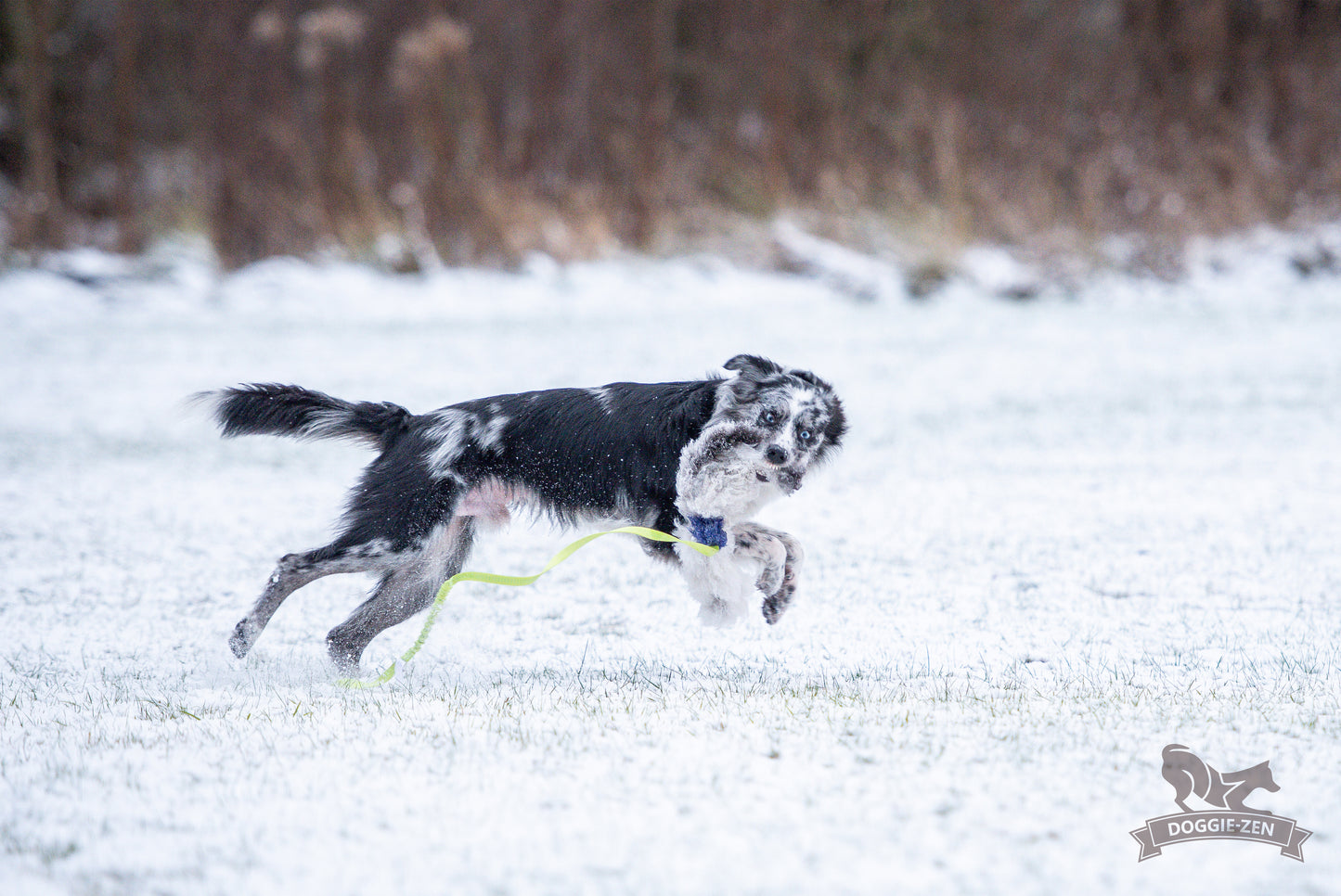 Elastik blackfiskjager med fåreskinn