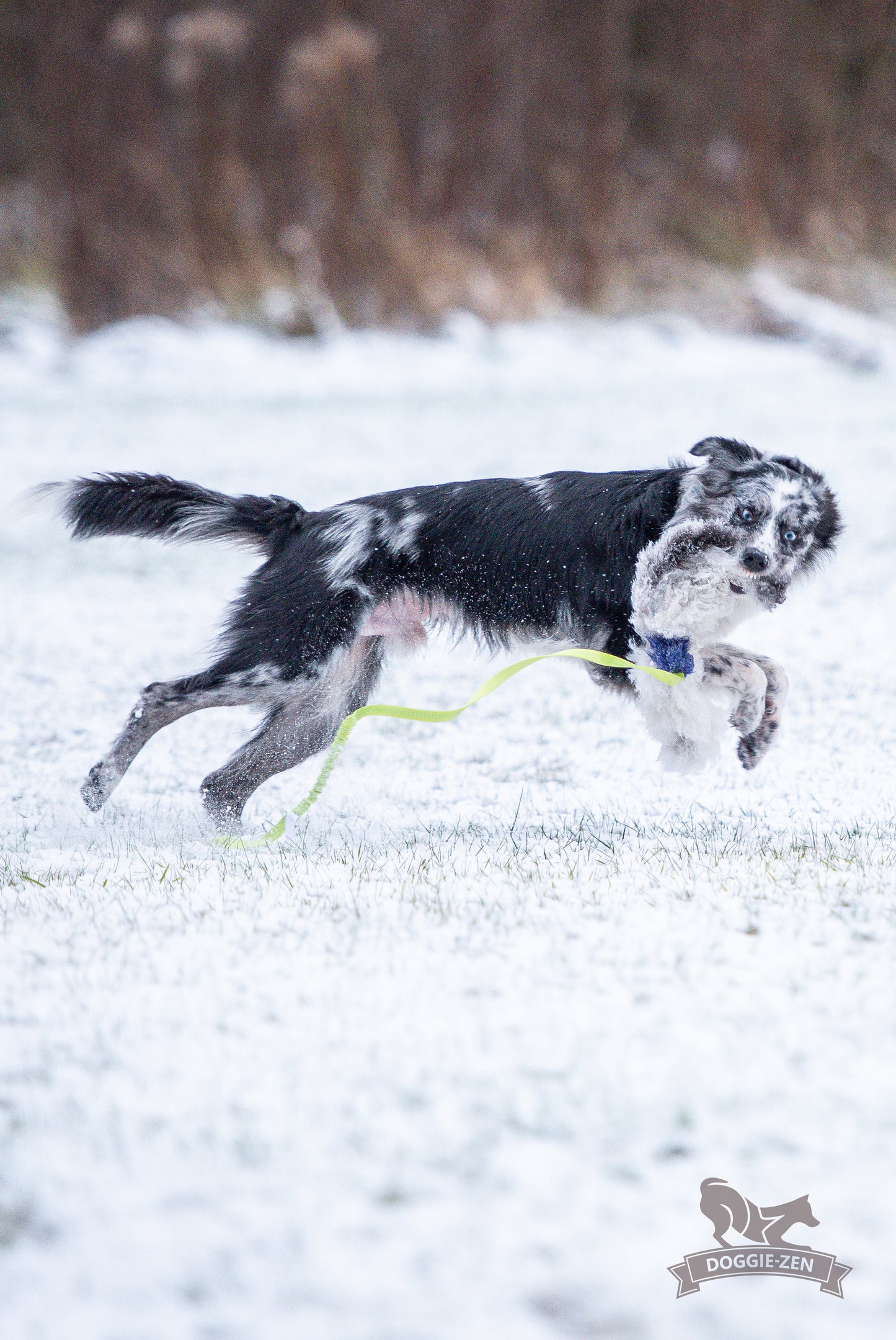 Elastik blackfiskjager med fåreskinn