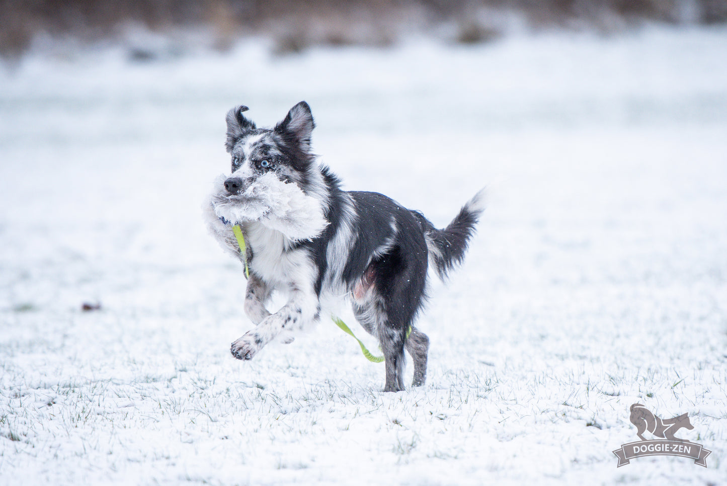 Elastik blackfiskjager med fåreskinn