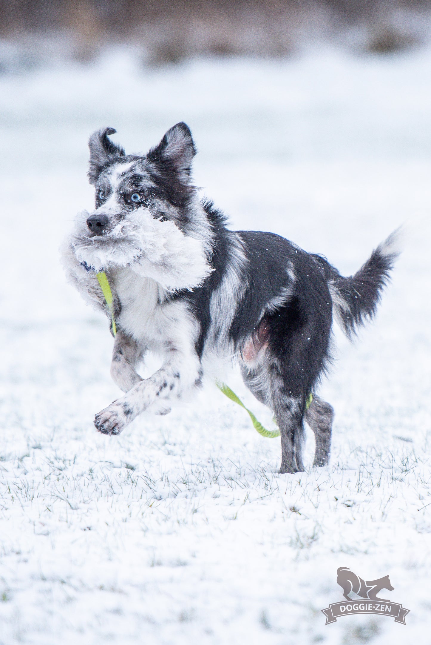 Elastik blackfiskjager med fåreskinn