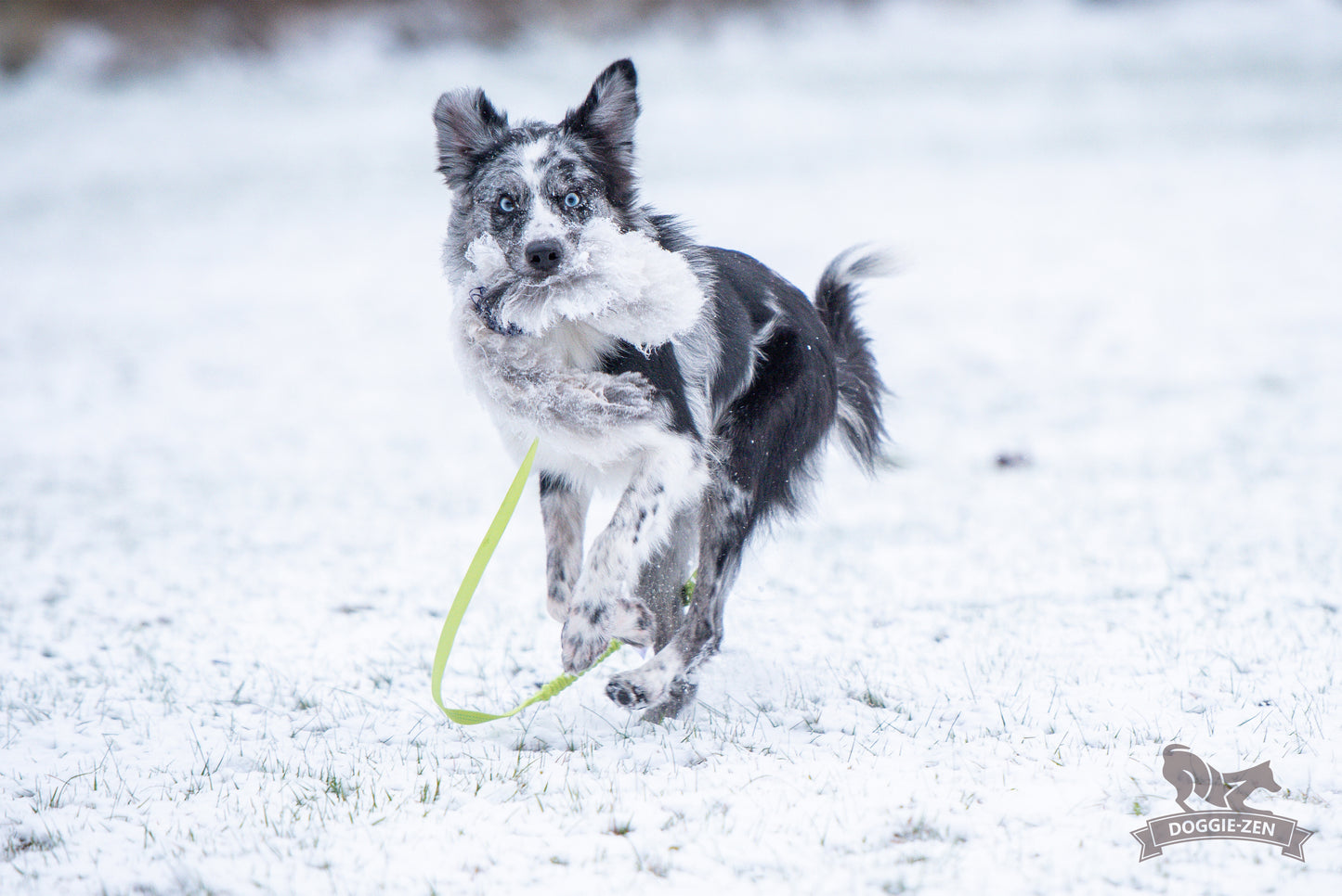 Elastik blackfiskjager med fåreskinn