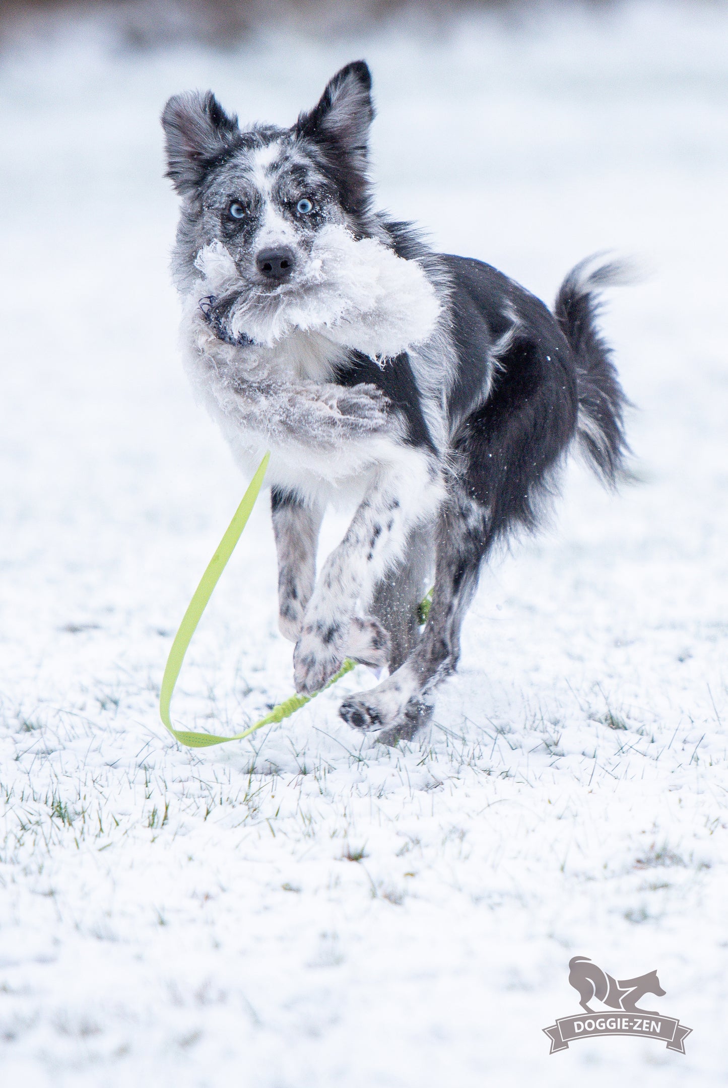 Elastik blackfiskjager med fåreskinn