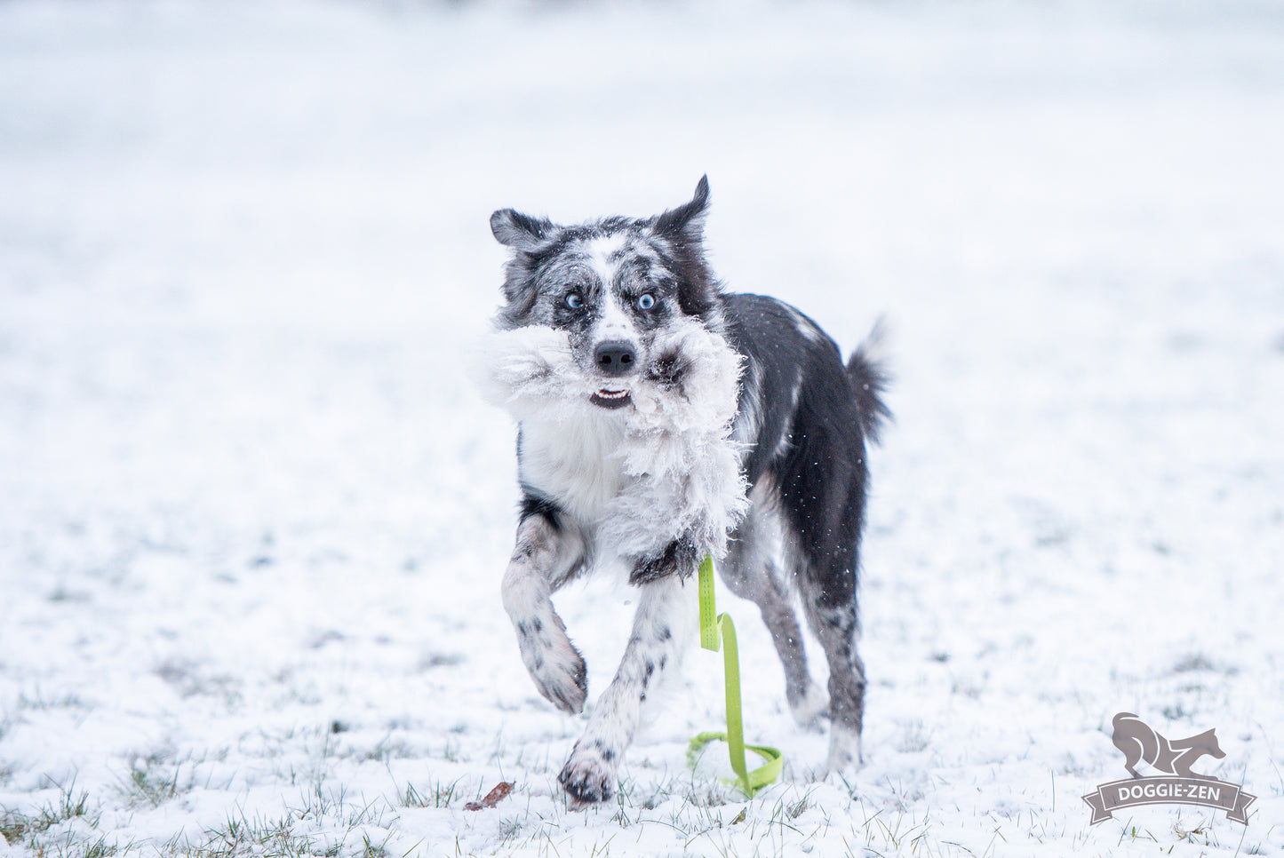 Elastik blackfiskjager med fåreskinn