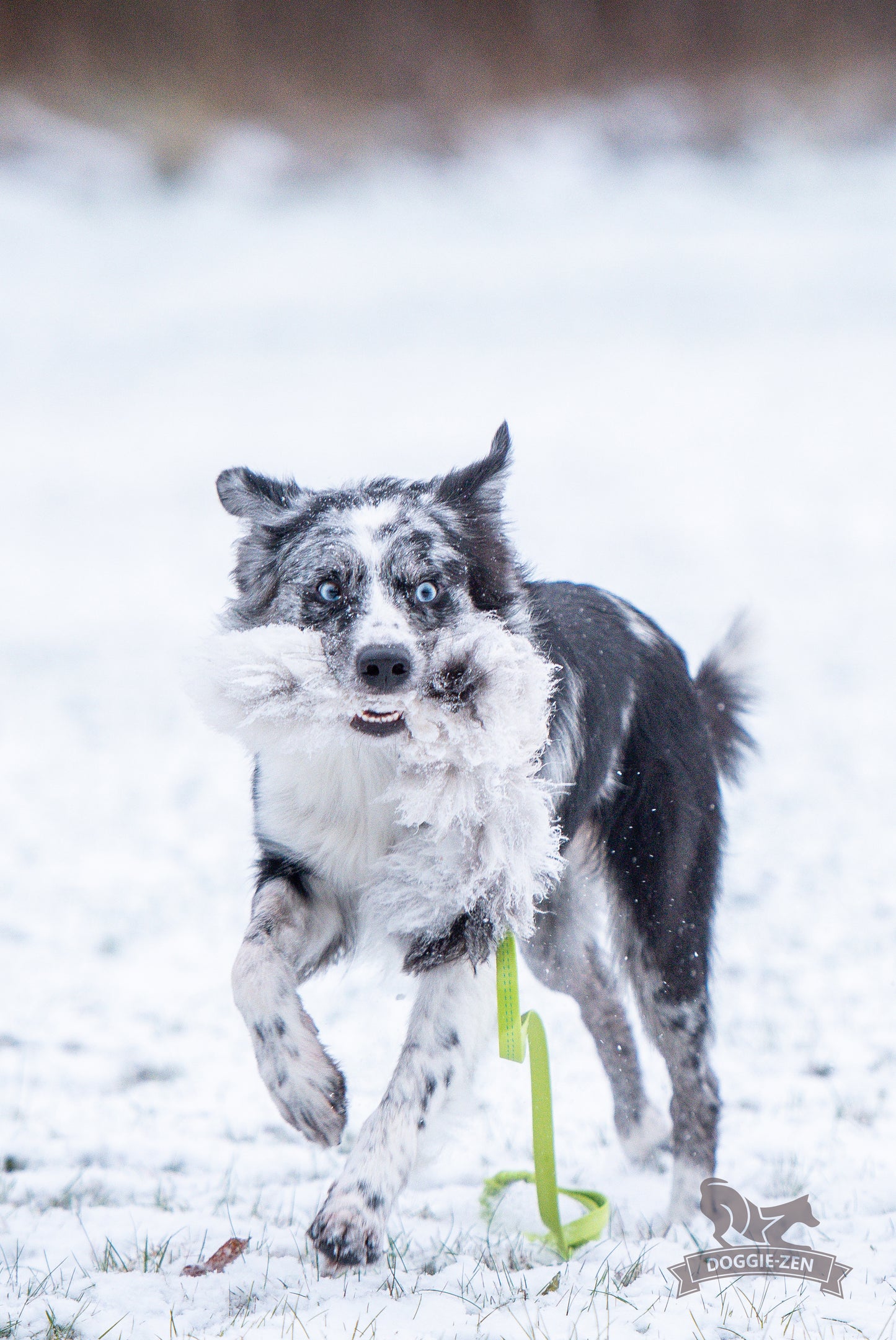 Elastik blackfiskjager med fåreskinn