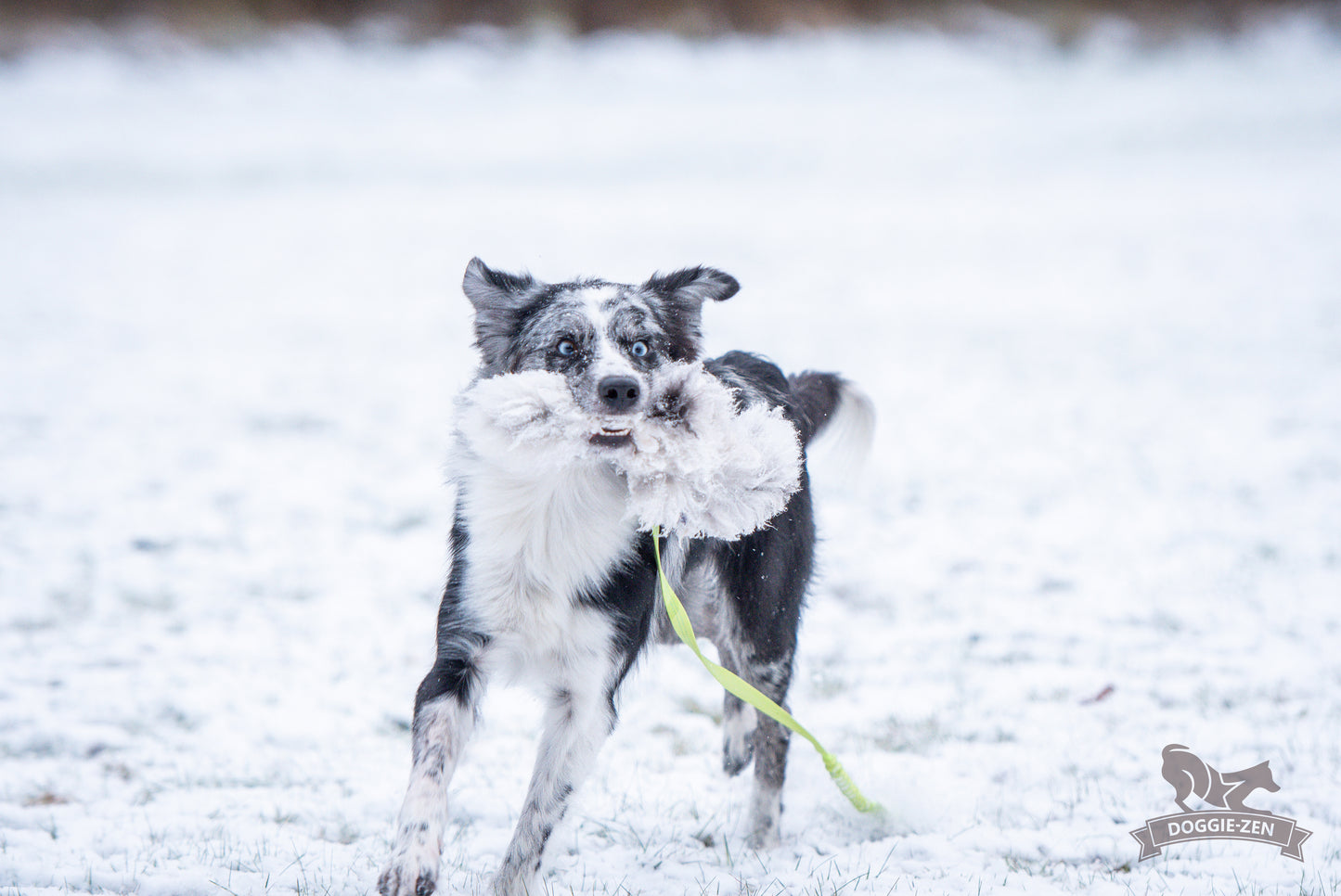 Elastik blackfiskjager med fåreskinn