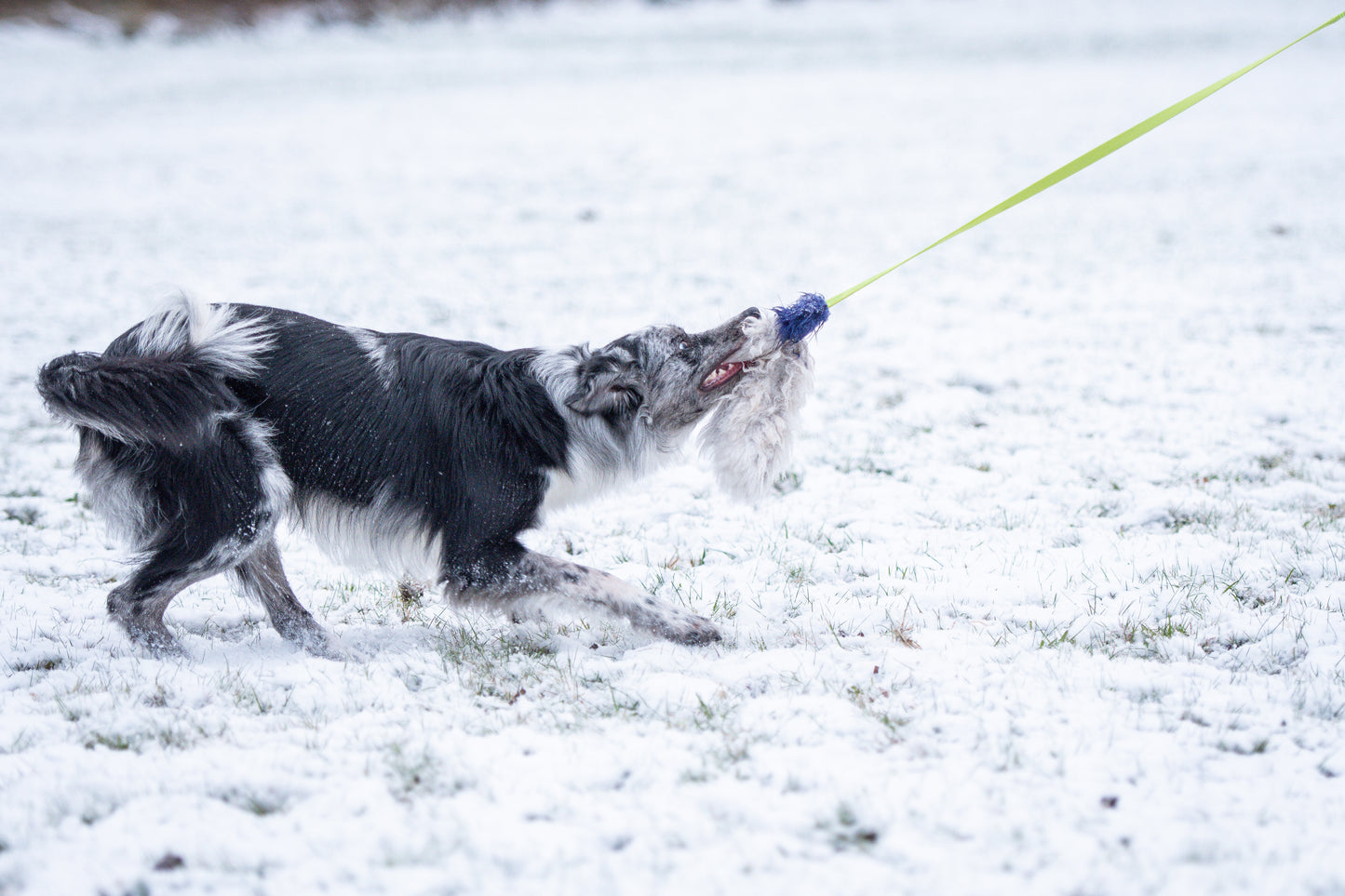 Elastik blackfiskjager med fåreskinn