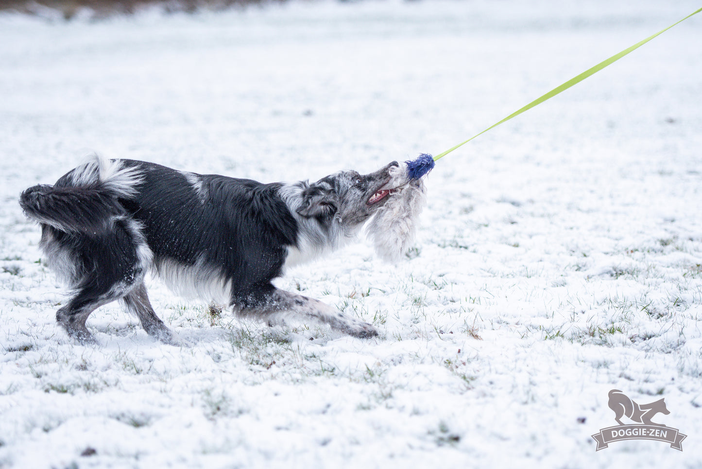 Elastik blackfiskjager med fåreskinn