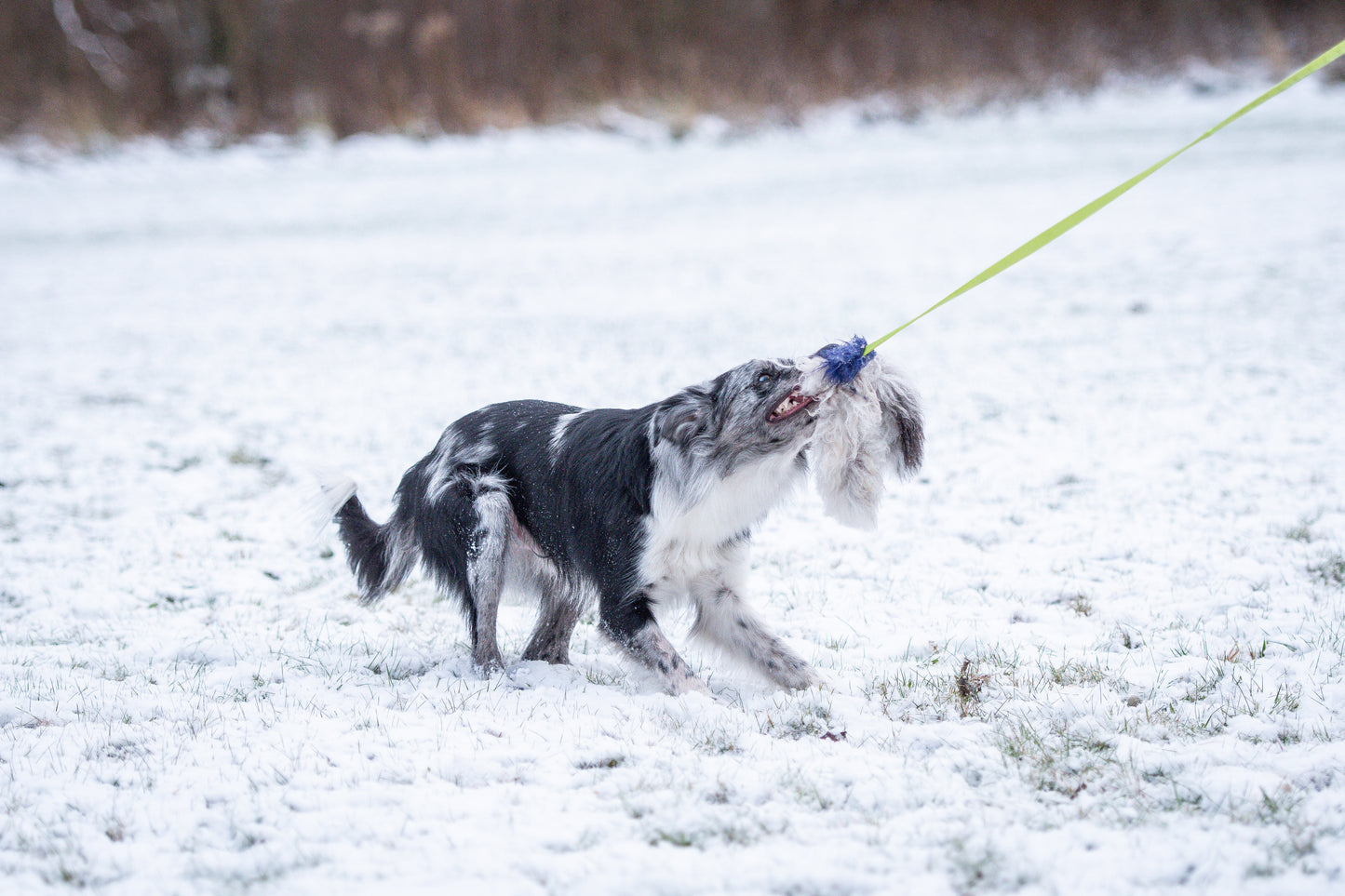 Elastik blackfiskjager med fåreskinn