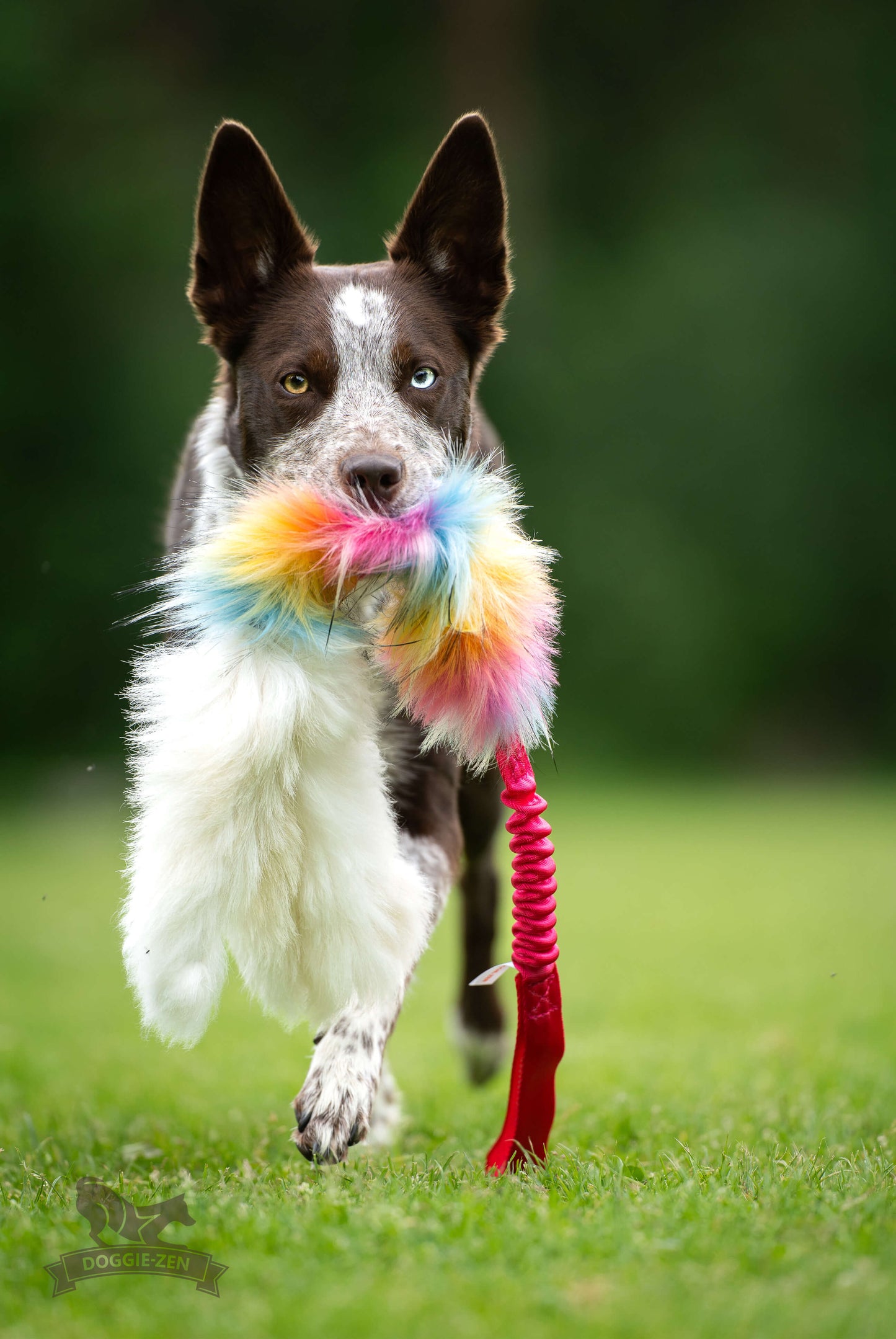 Elastisk blackfiskkampis fåreskinn og fuskepels i str L