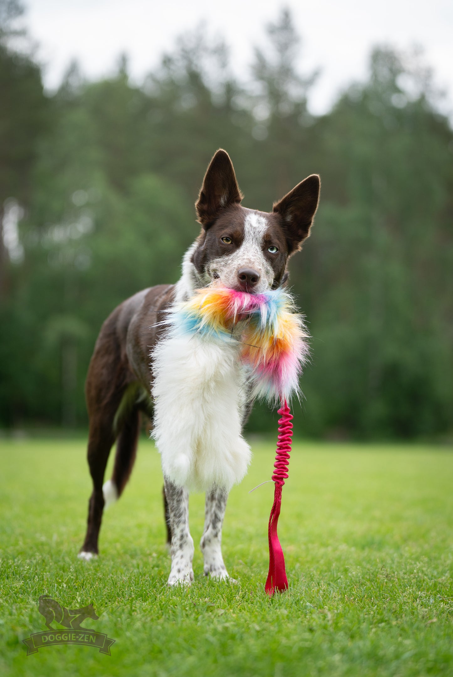 Elastisk blackfiskkampis fåreskinn og fuskepels i str L