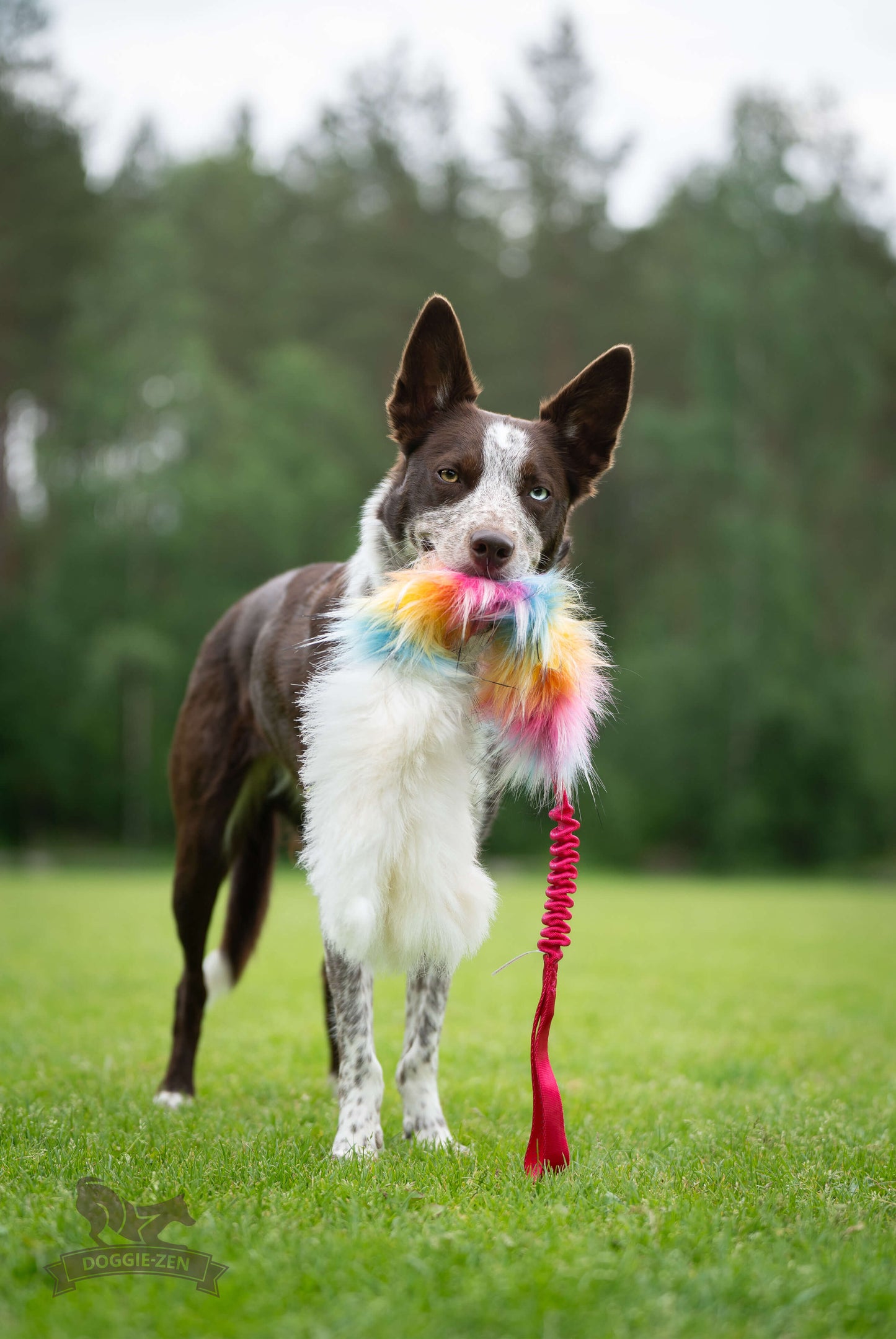 Elastisk blackfiskkampis fåreskinn og fuskepels i str L