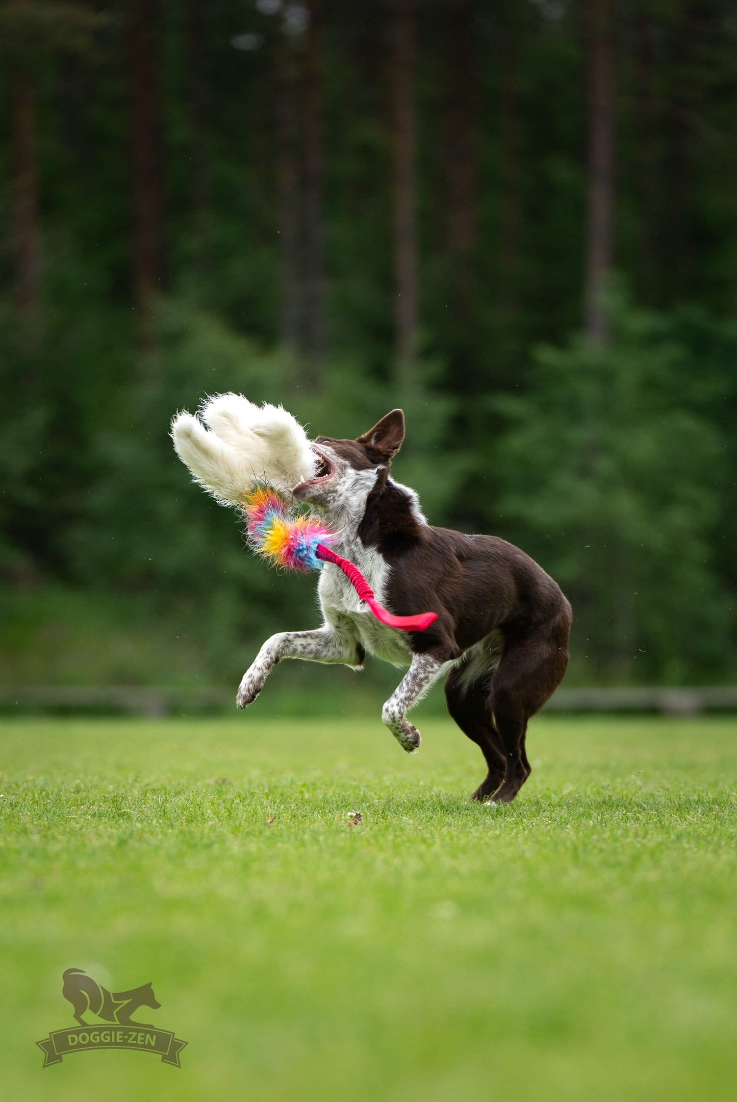 Elastisk blackfiskkampis fåreskinn og fuskepels i str L