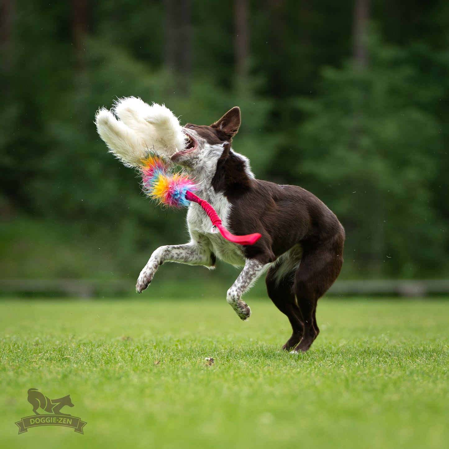 Elastisk blackfiskkampis fåreskinn og fuskepels i str L