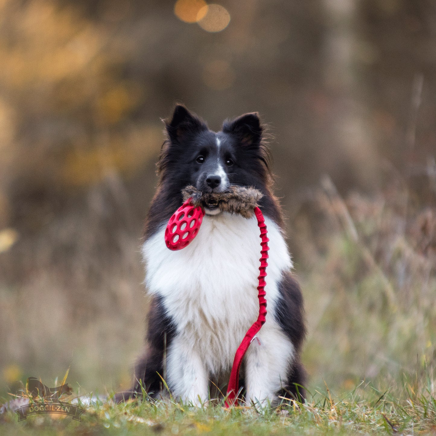 Elastisk kaninkampis med hol-ee fotball Str S