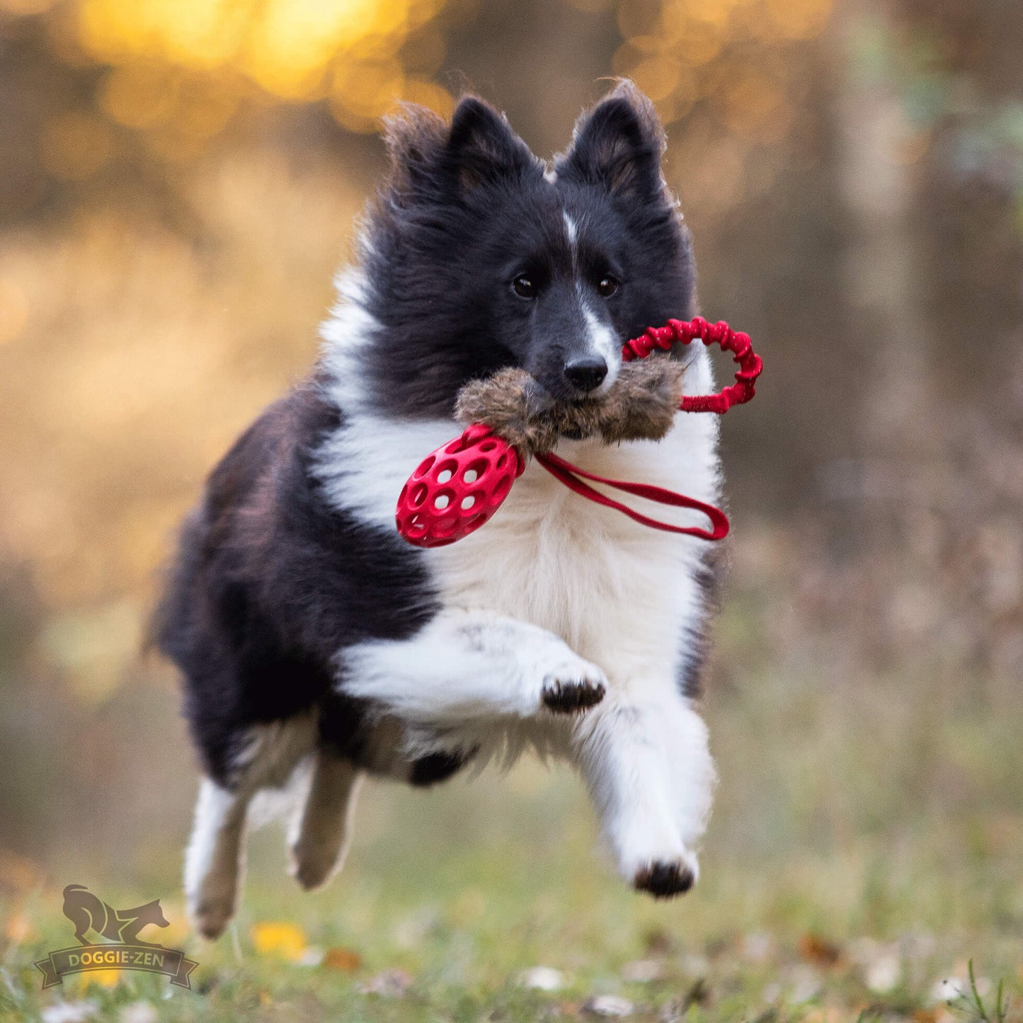 Elastisk kaninkampis med hol-ee fotball Str S