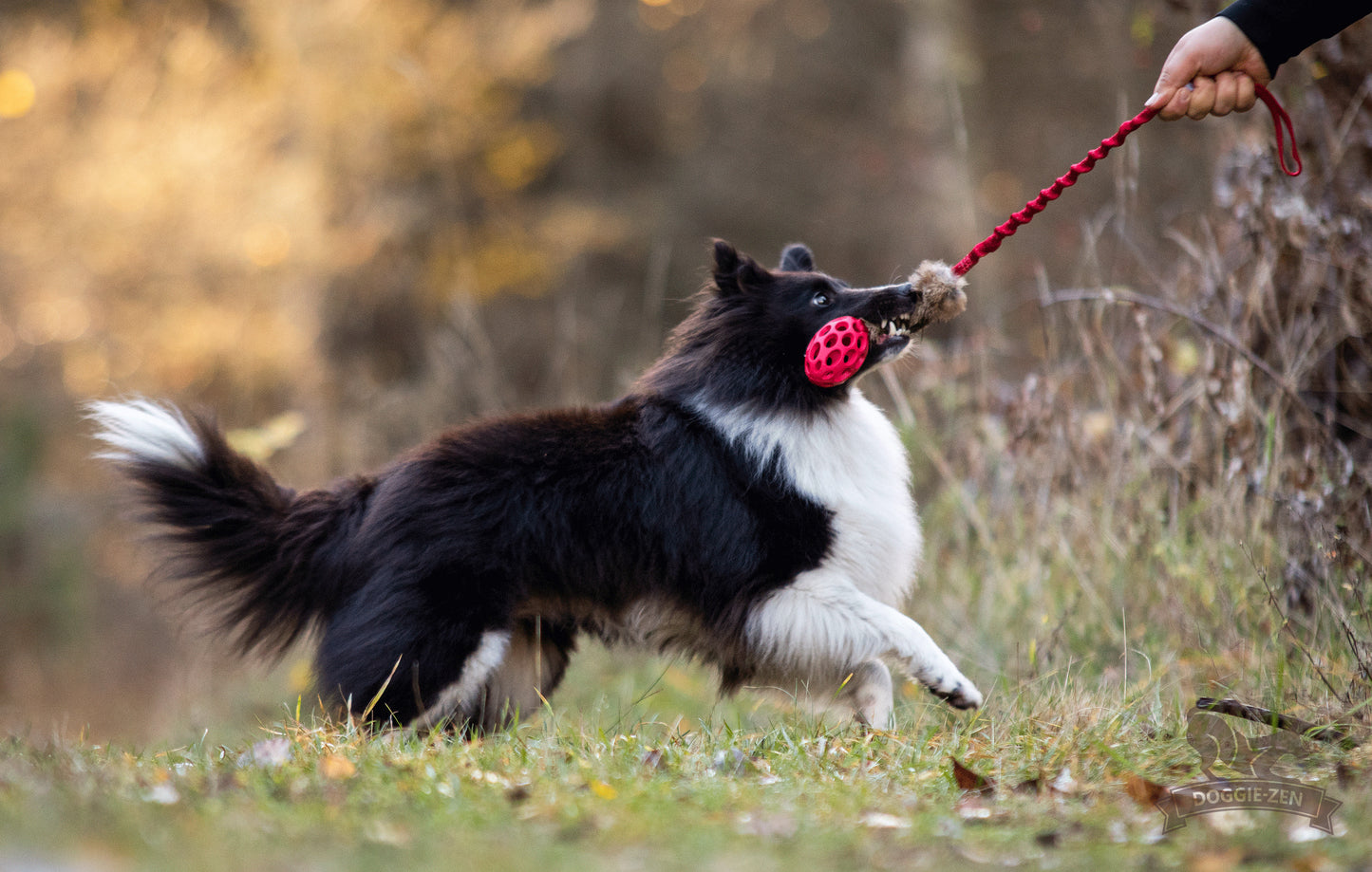 Elastisk kaninkampis med hol-ee fotball Str S