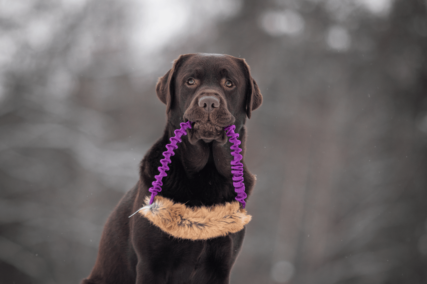Elastisk ring med kaninskinn