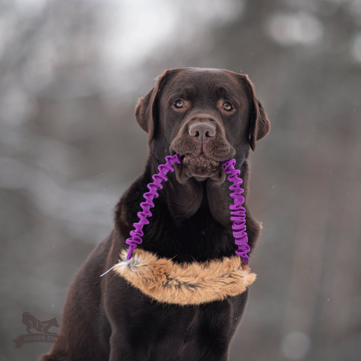 Elastisk ring med kaninskinn