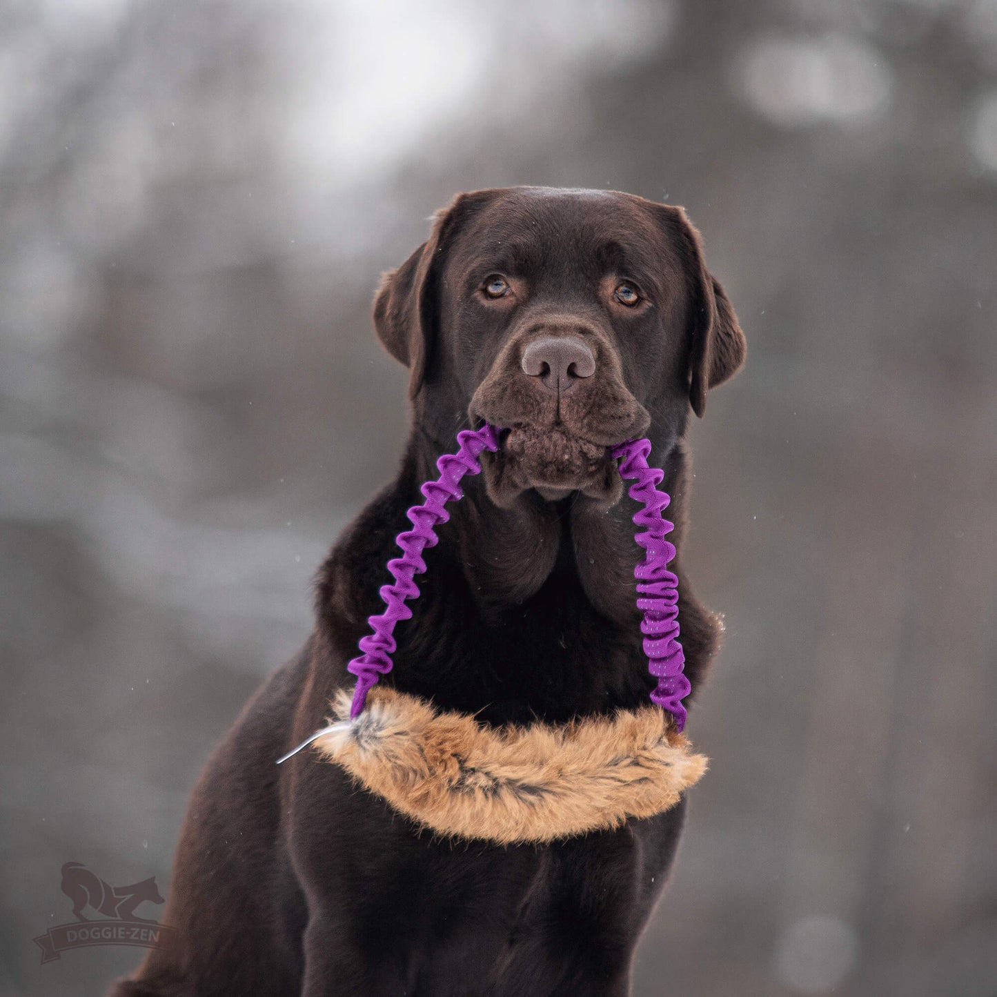 Elastisk ring med kaninskinn