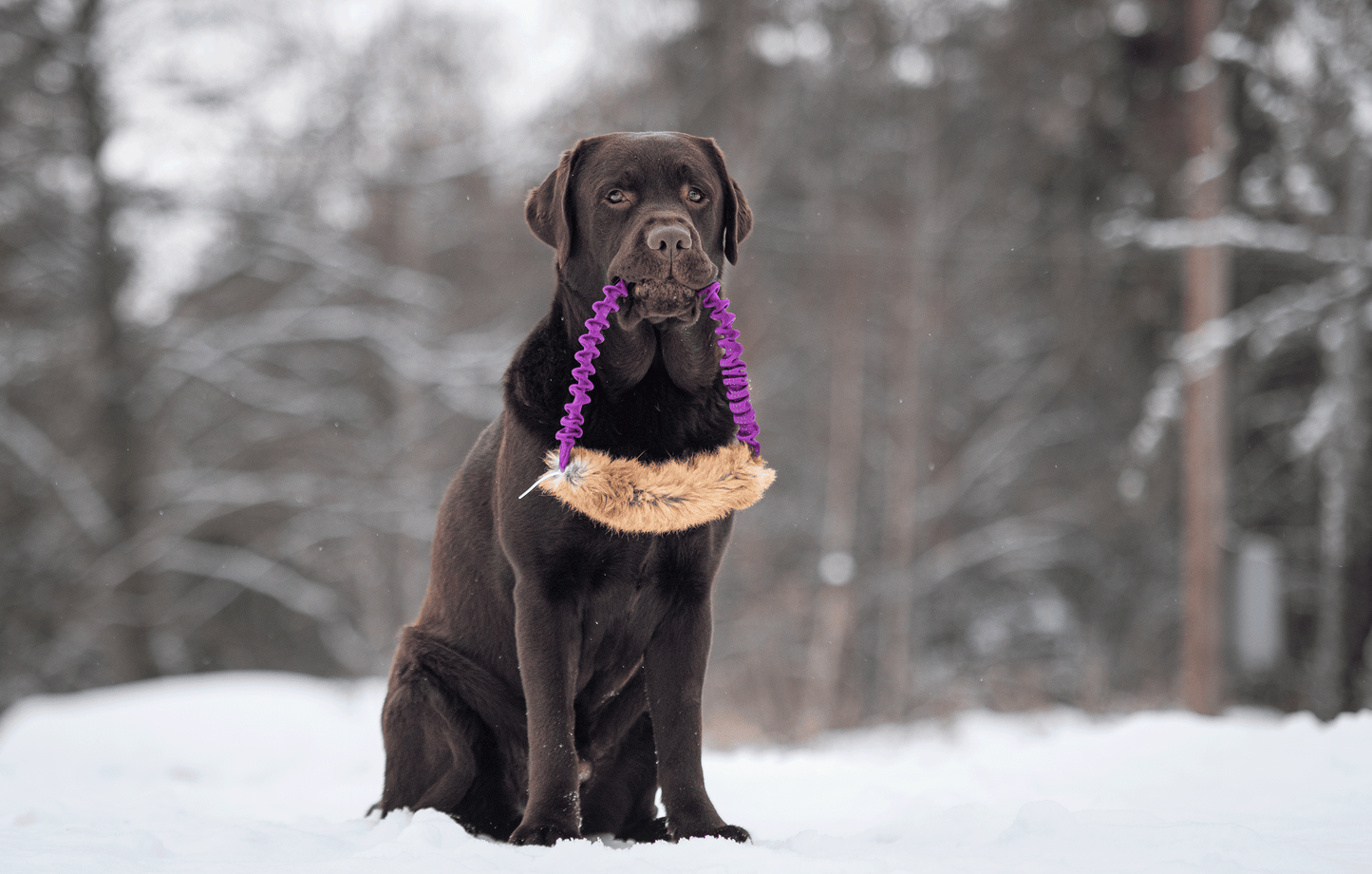 Elastisk ring med kaninskinn