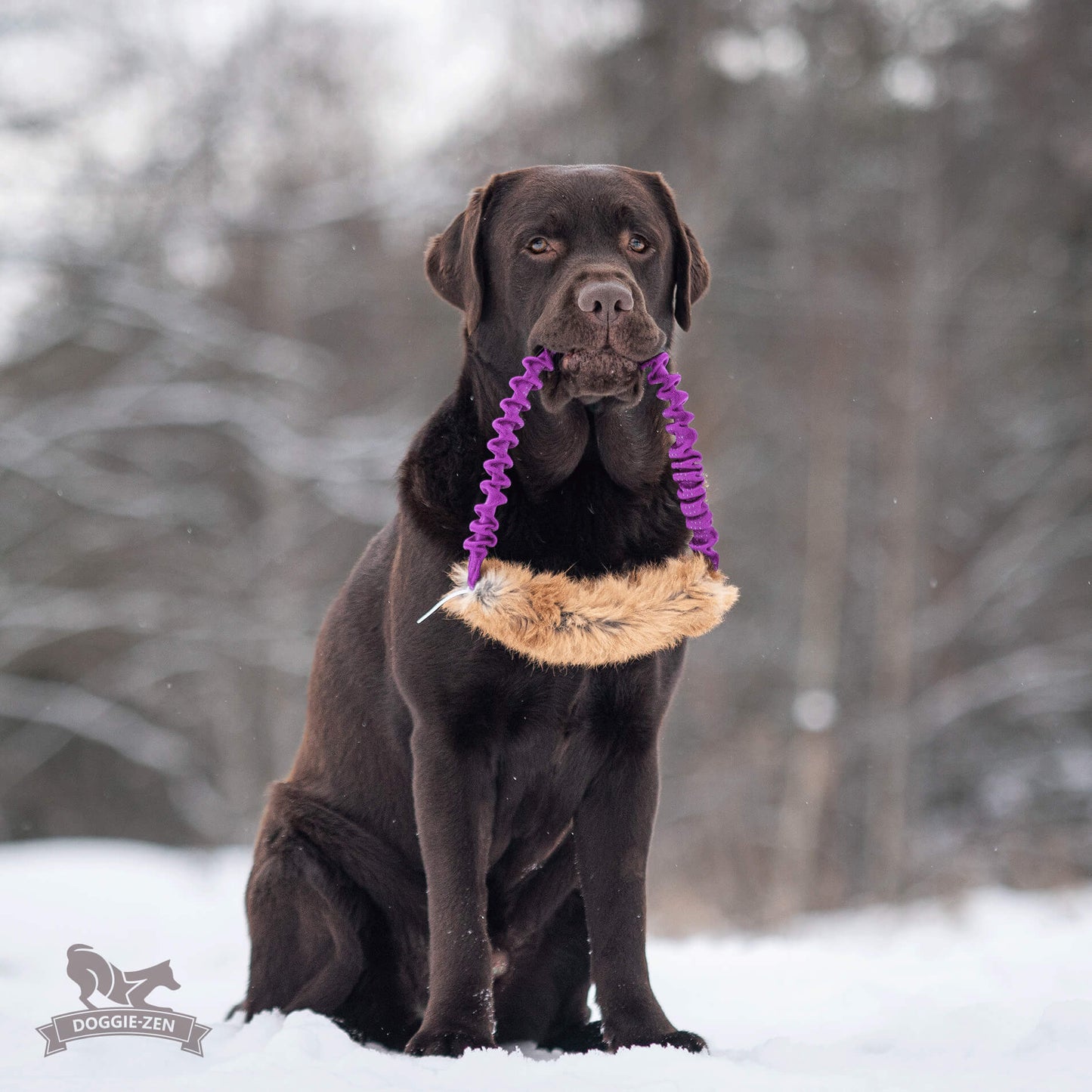 Elastisk ring med kaninskinn