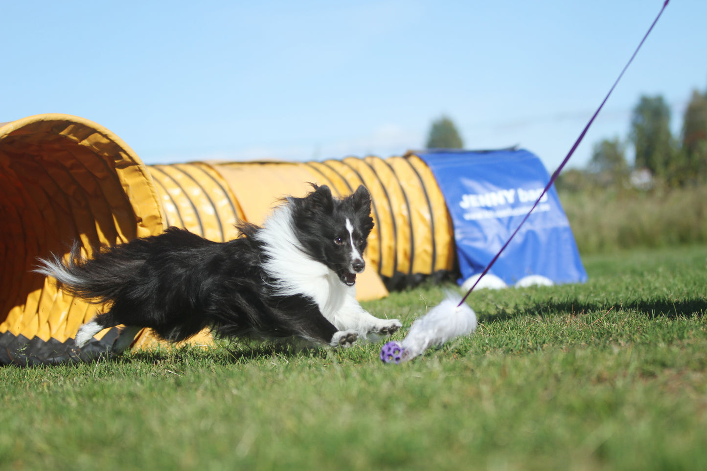 Elastisk fåreskinnsjagerkampis med hol-ee roller str S