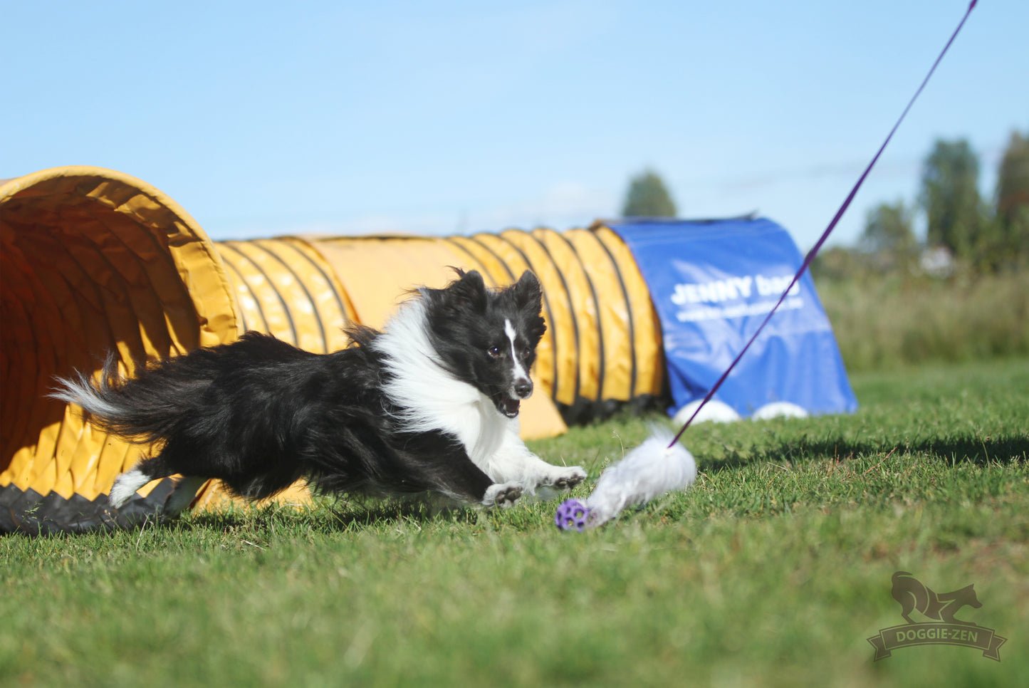 Elastisk fåreskinnsjagerkampis med hol-ee roller str S