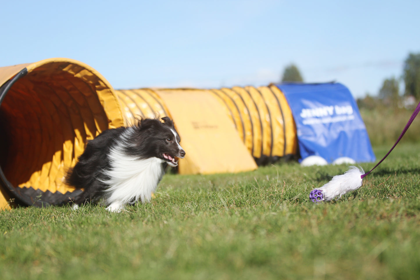 Elastisk fåreskinnsjagerkampis med hol-ee roller str S