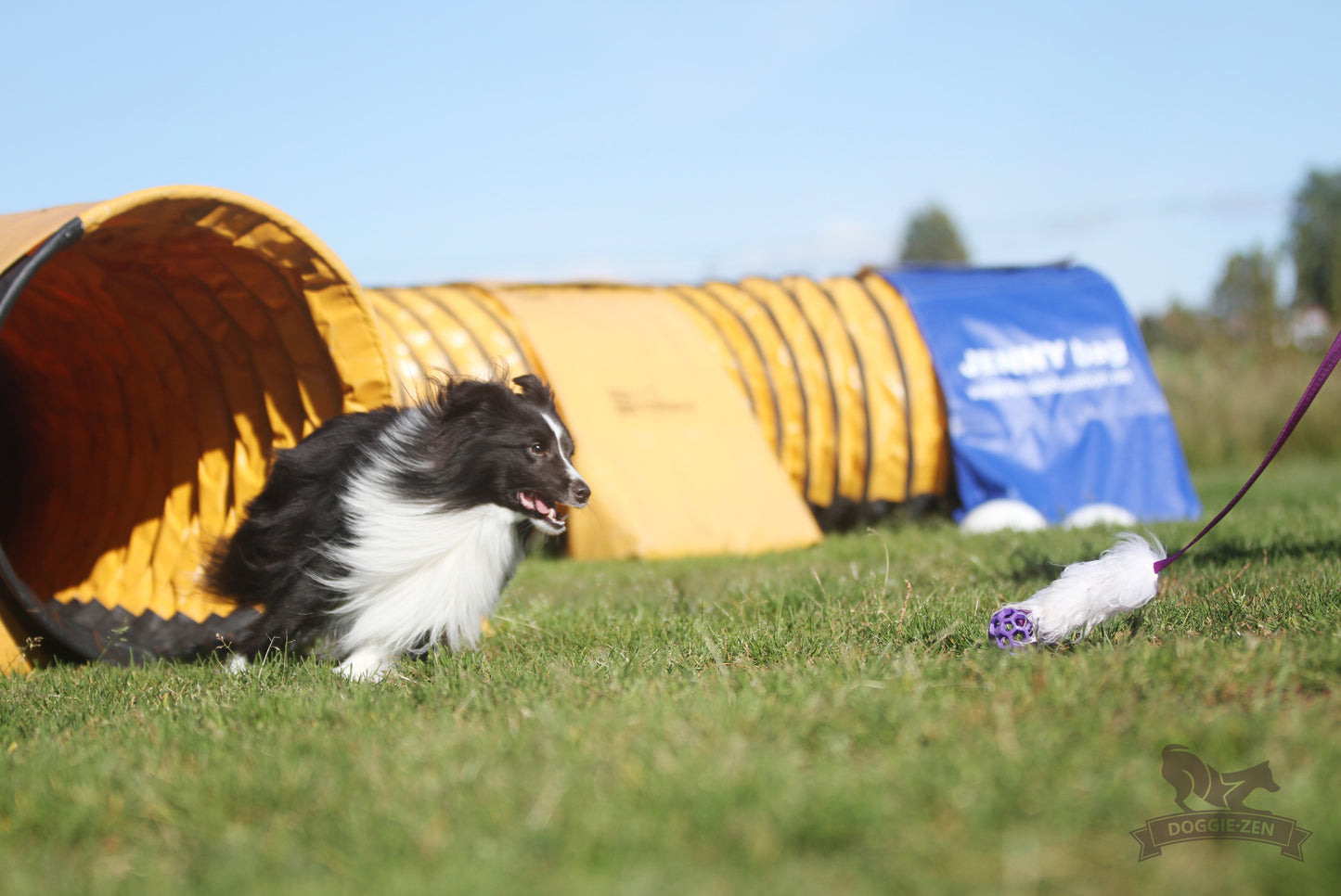 Elastisk fåreskinnsjagerkampis med hol-ee roller str S