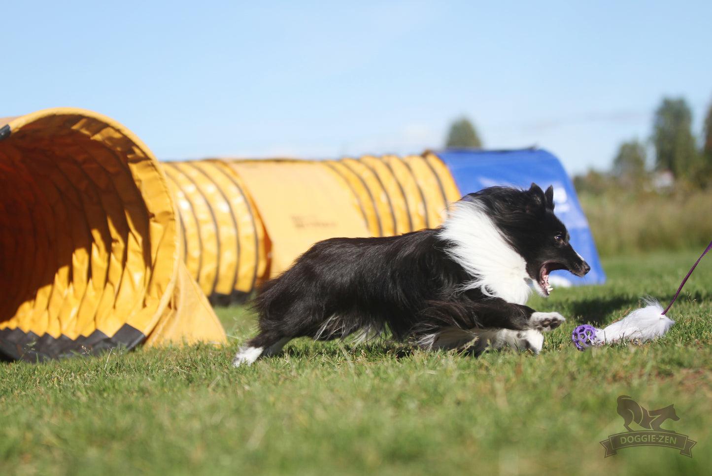 Elastisk fåreskinnsjagerkampis med hol-ee roller str S