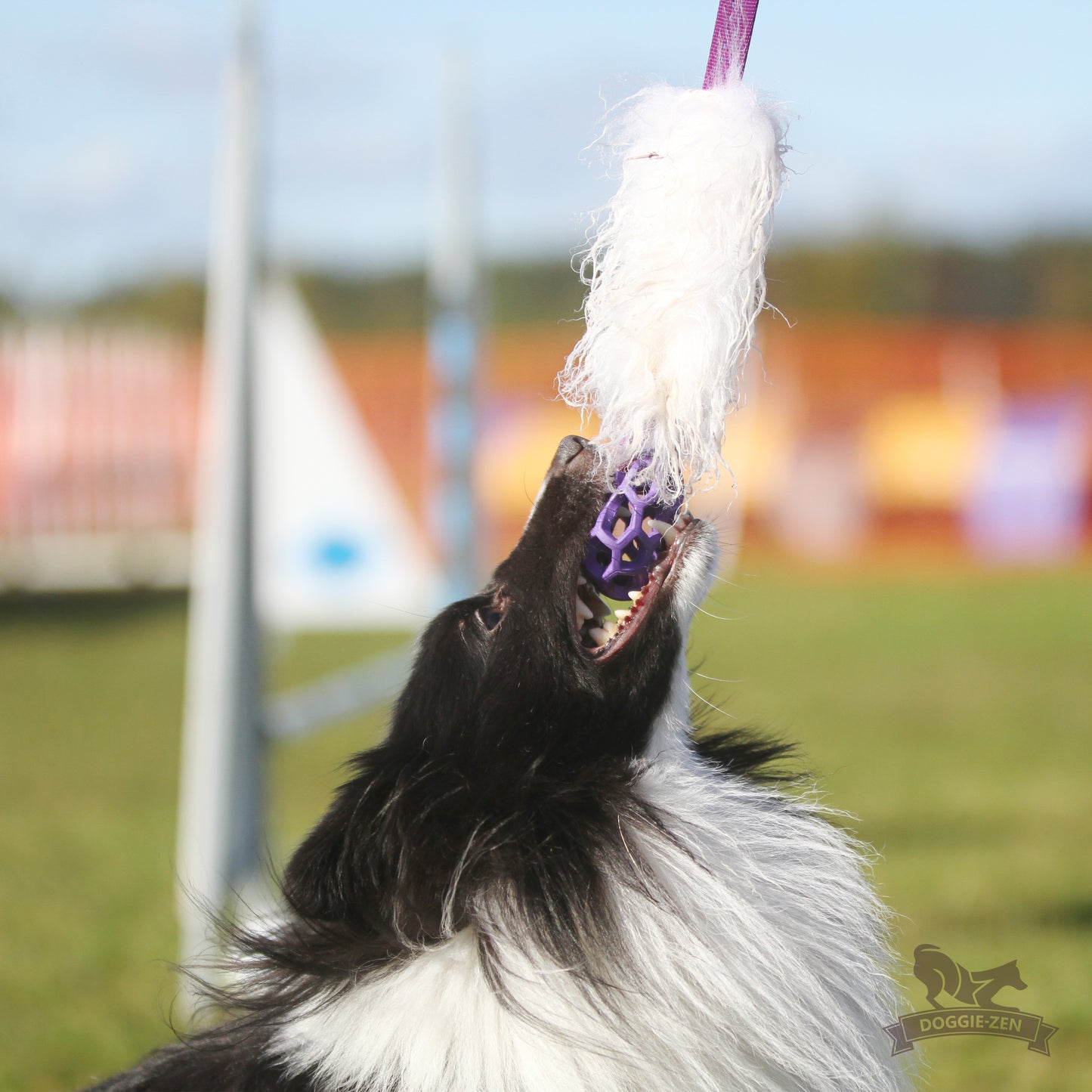 Elastisk fåreskinnsjagerkampis med hol-ee roller str S