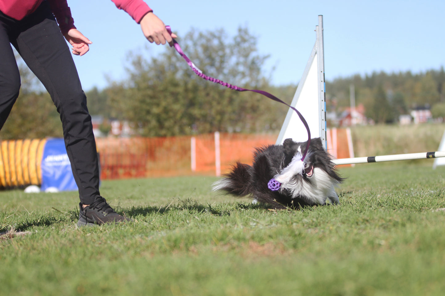 Elastisk fåreskinnsjagerkampis med hol-ee roller str S