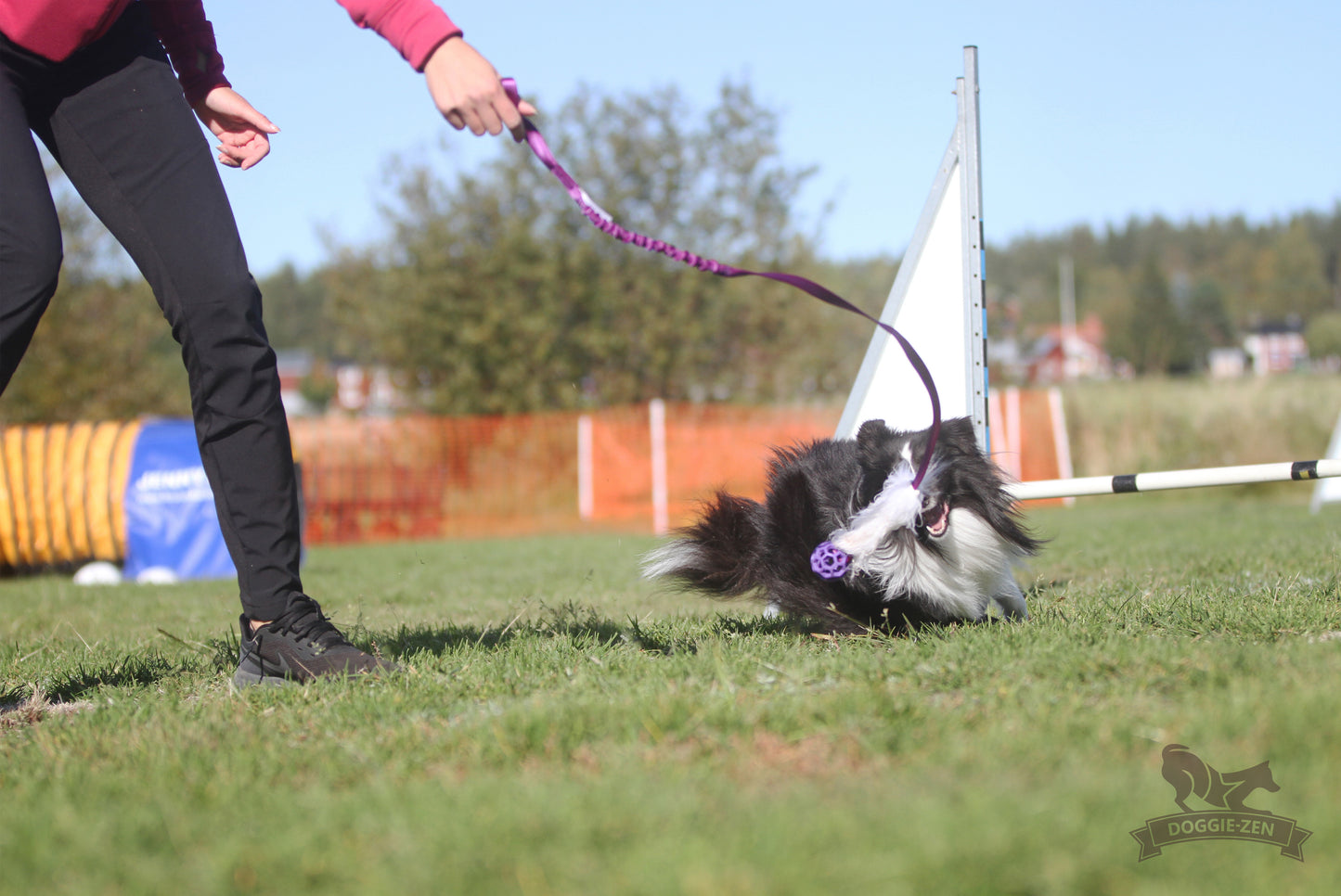 Elastisk fåreskinnsjagerkampis med hol-ee roller str S