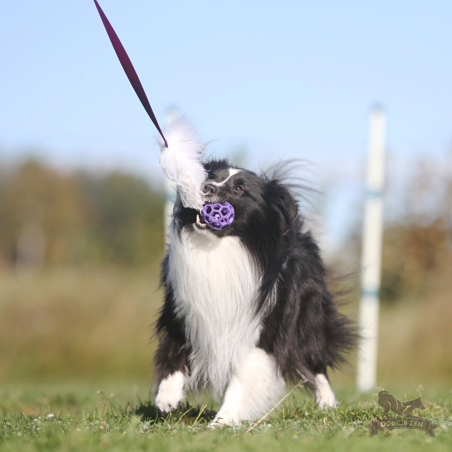 Elastisk fåreskinnsjagerkampis med hol-ee roller str S
