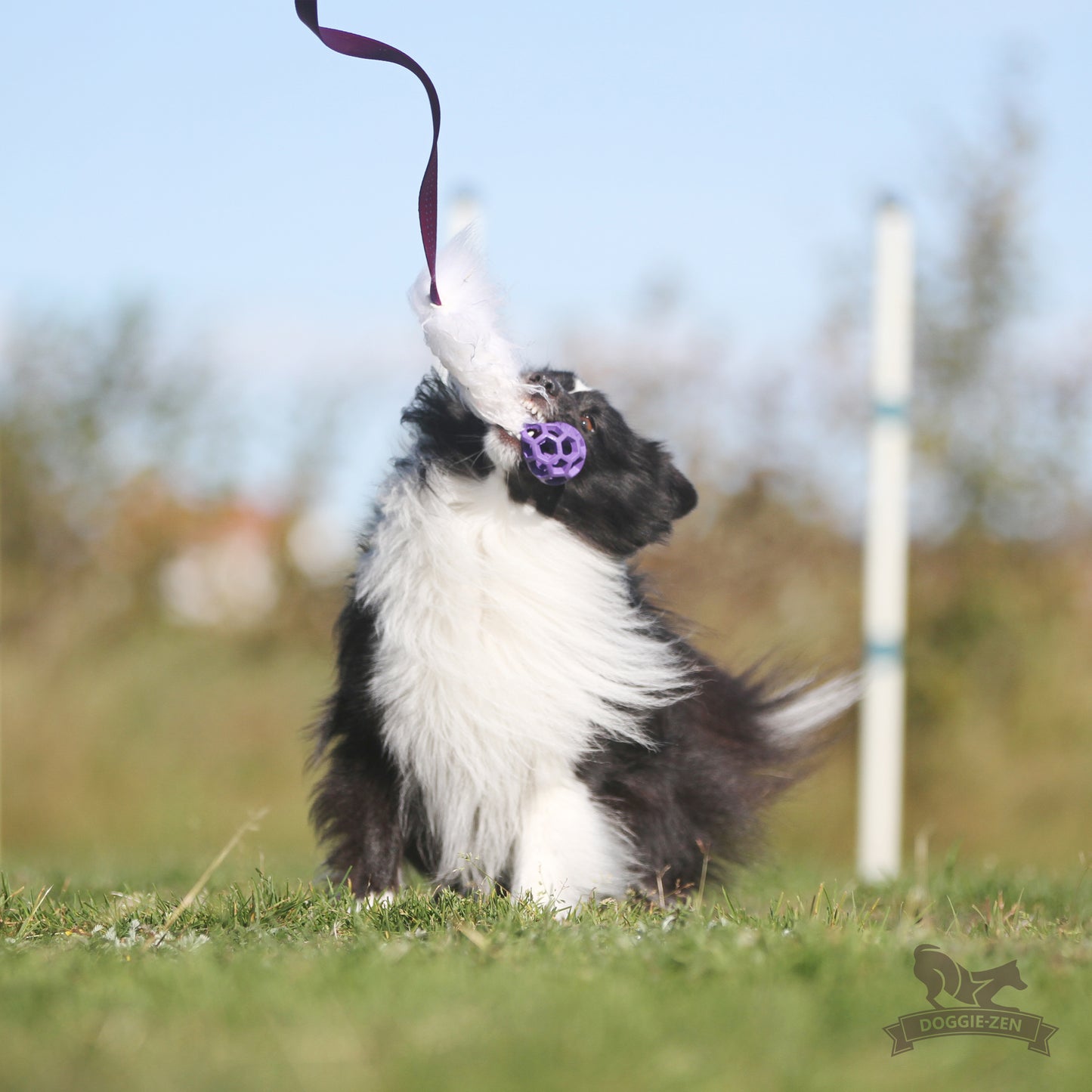 Elastisk fåreskinnsjagerkampis med hol-ee roller str S