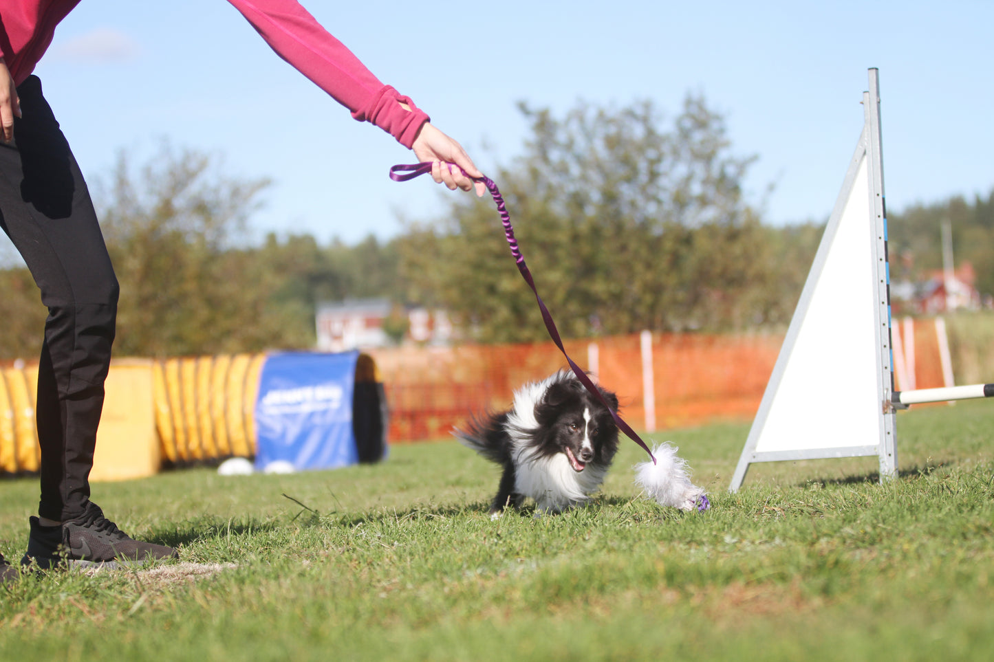 Elastisk fåreskinnsjagerkampis med hol-ee roller str S